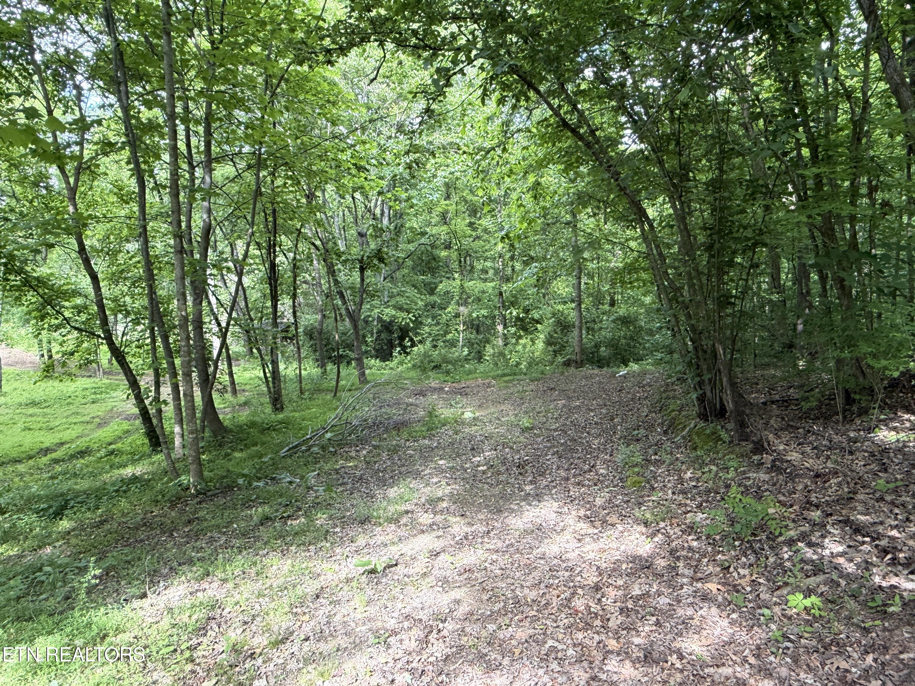 316 Wiley Town Road Newport TN 37821
