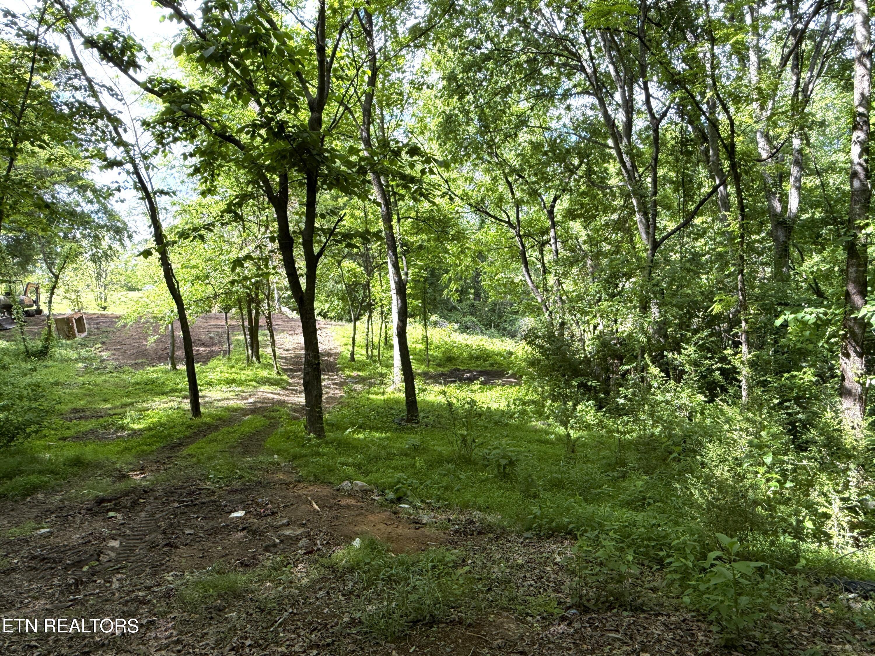316 Wiley Town Road Newport TN 37821