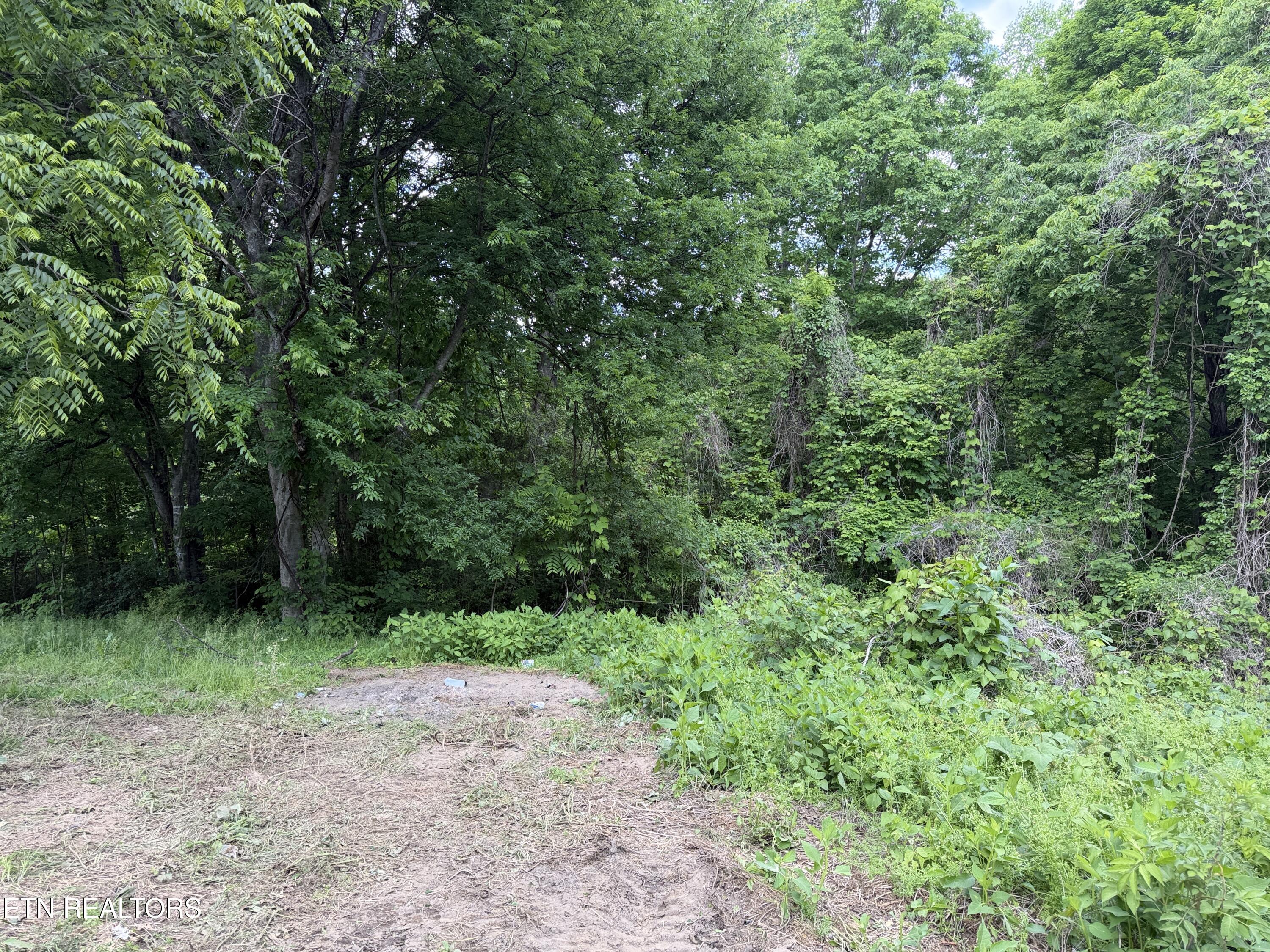 316 Wiley Town Road Newport TN 37821