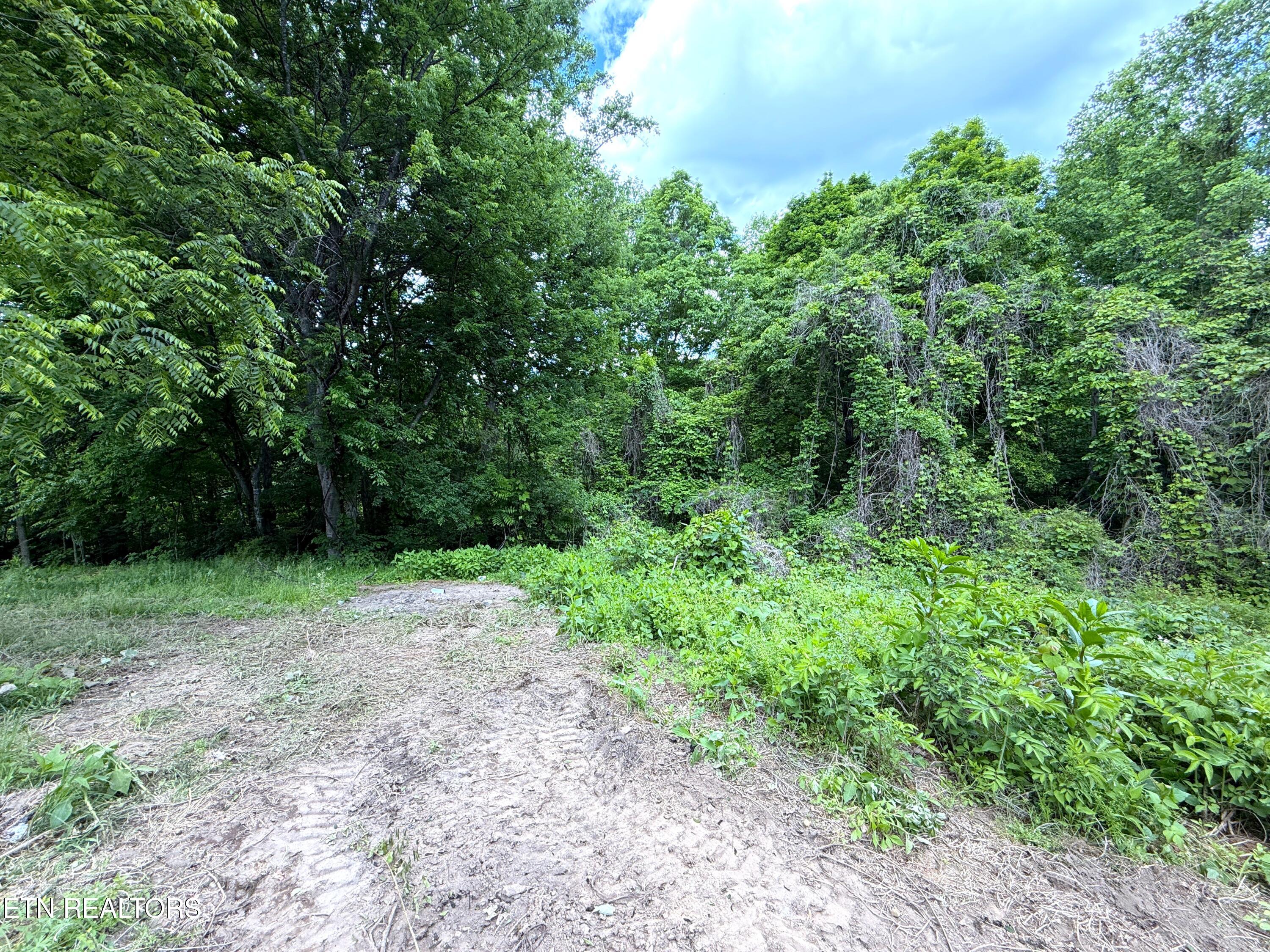 316 Wiley Town Road Newport TN 37821