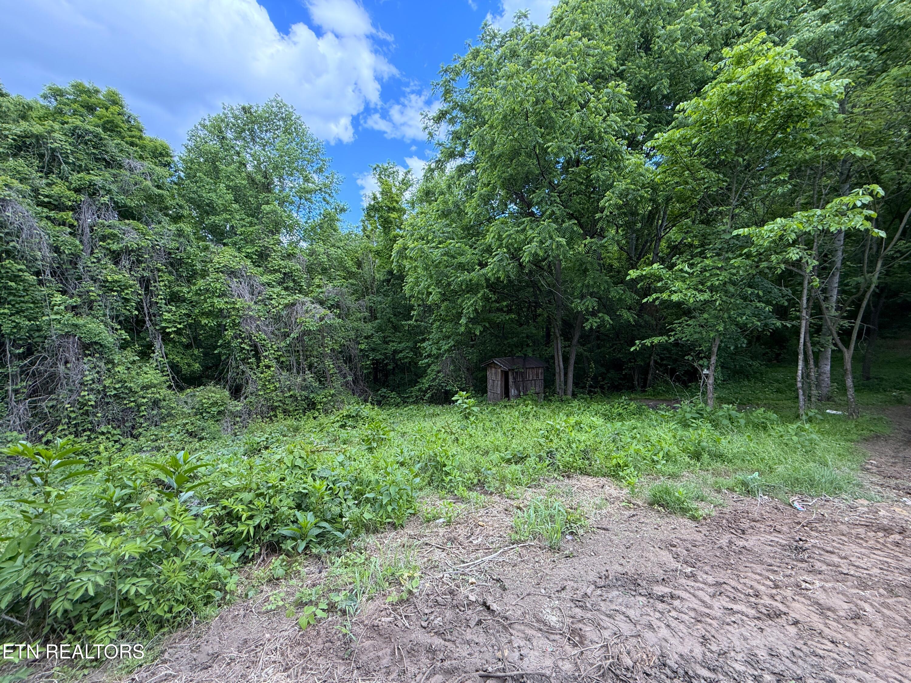 316 Wiley Town Road Newport TN 37821