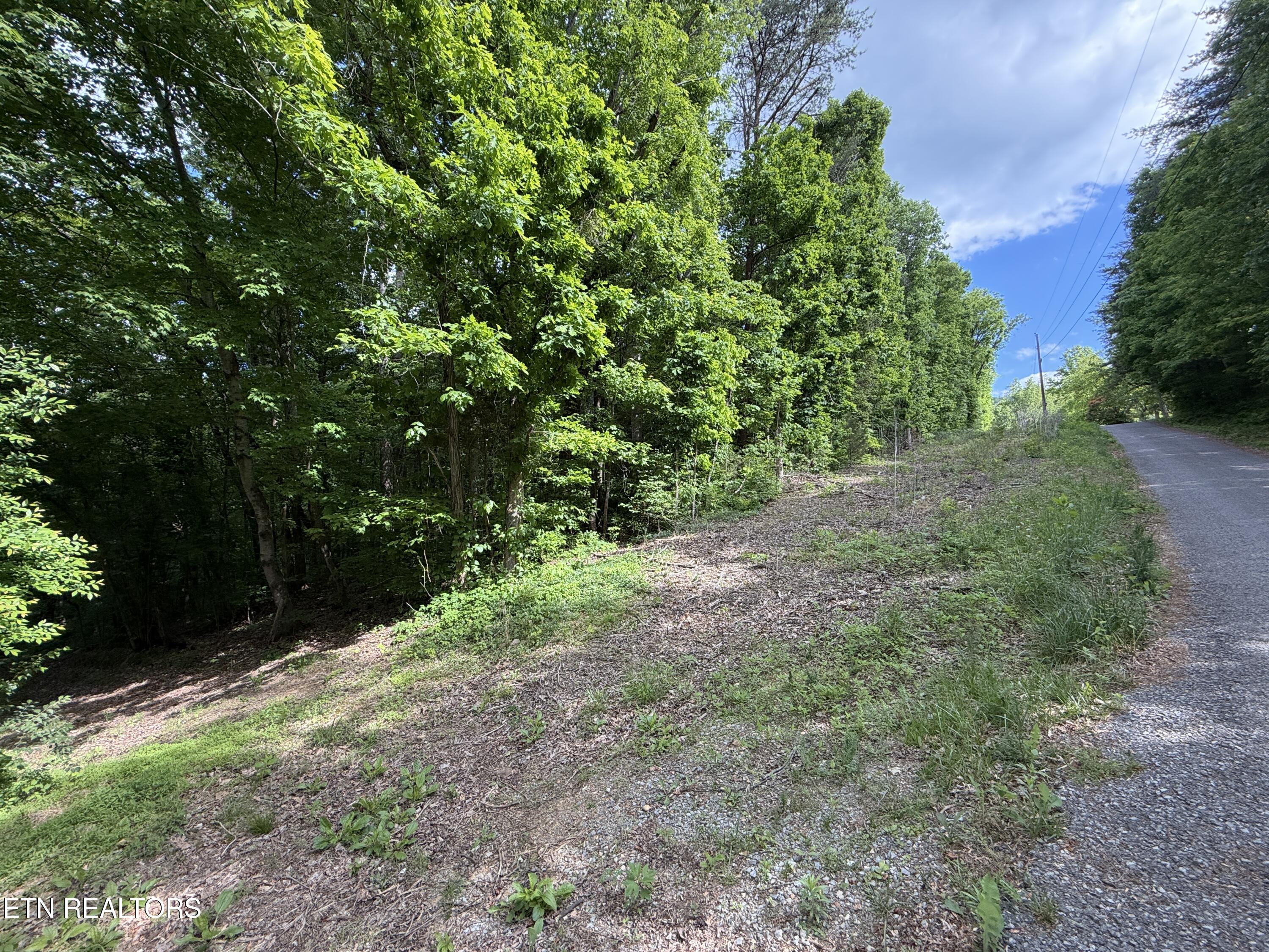 316 Wiley Town Road Newport TN 37821