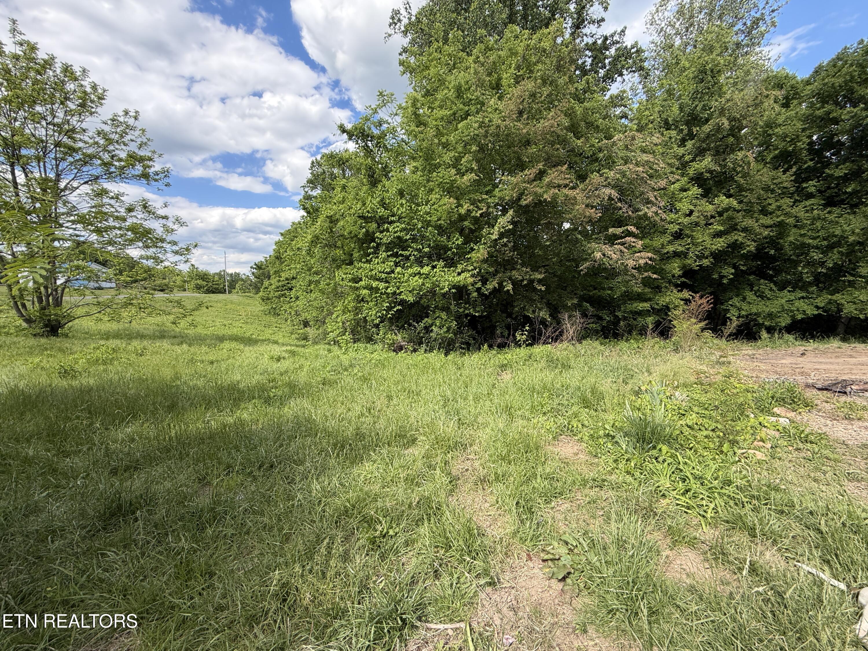 316 Wiley Town Road Newport TN 37821
