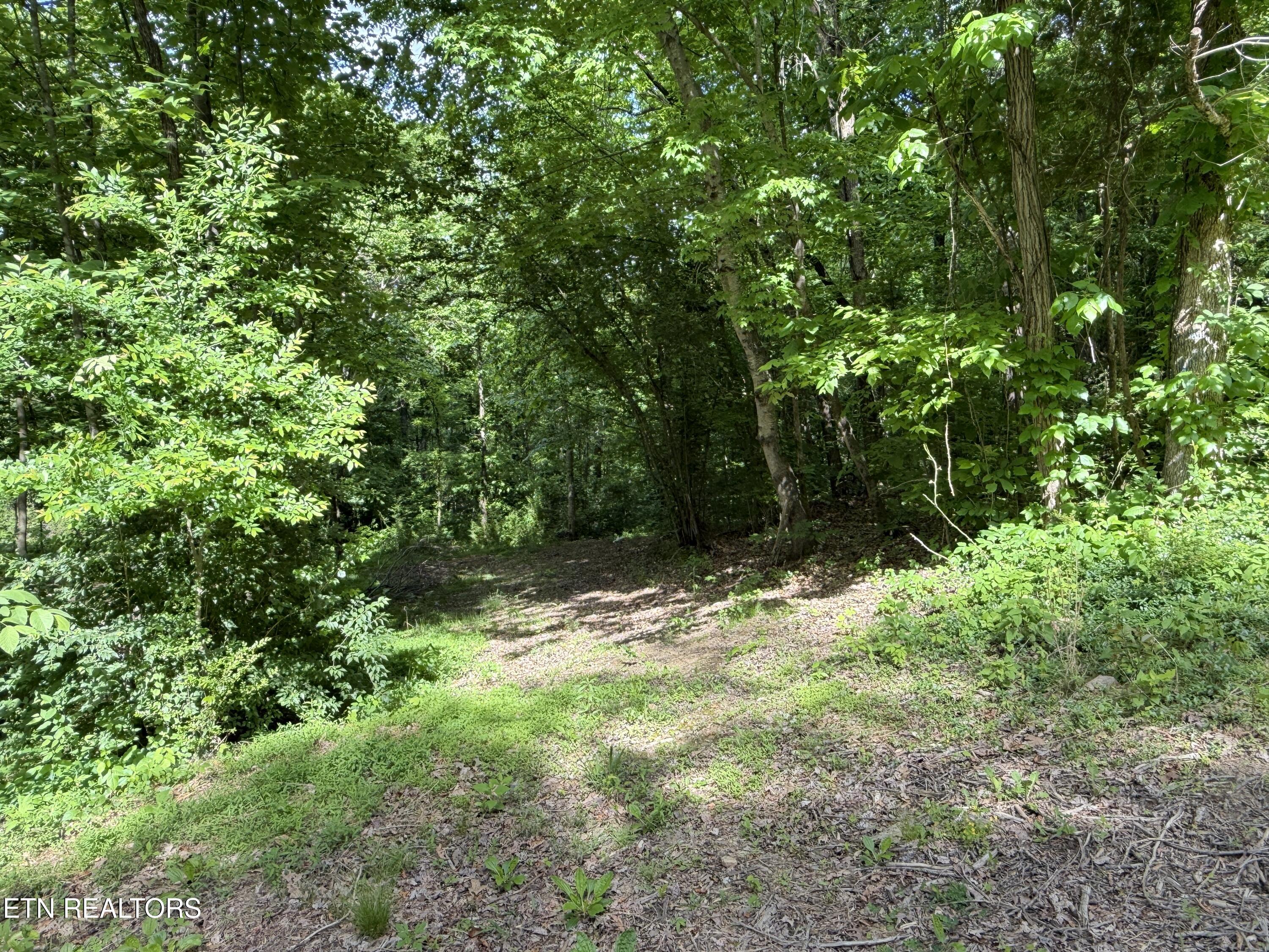 316 Wiley Town Road Newport TN 37821