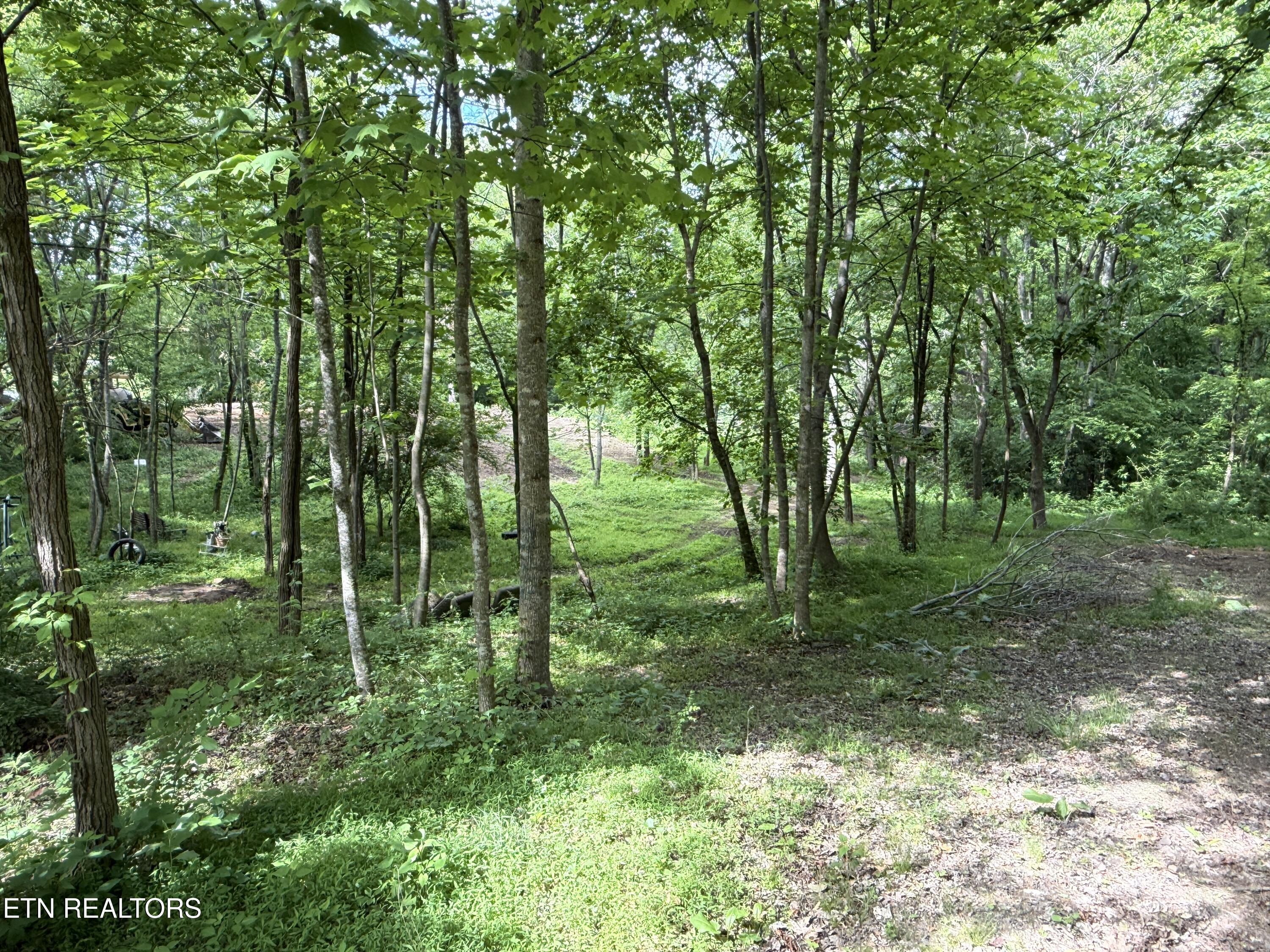 316 Wiley Town Road Newport TN 37821