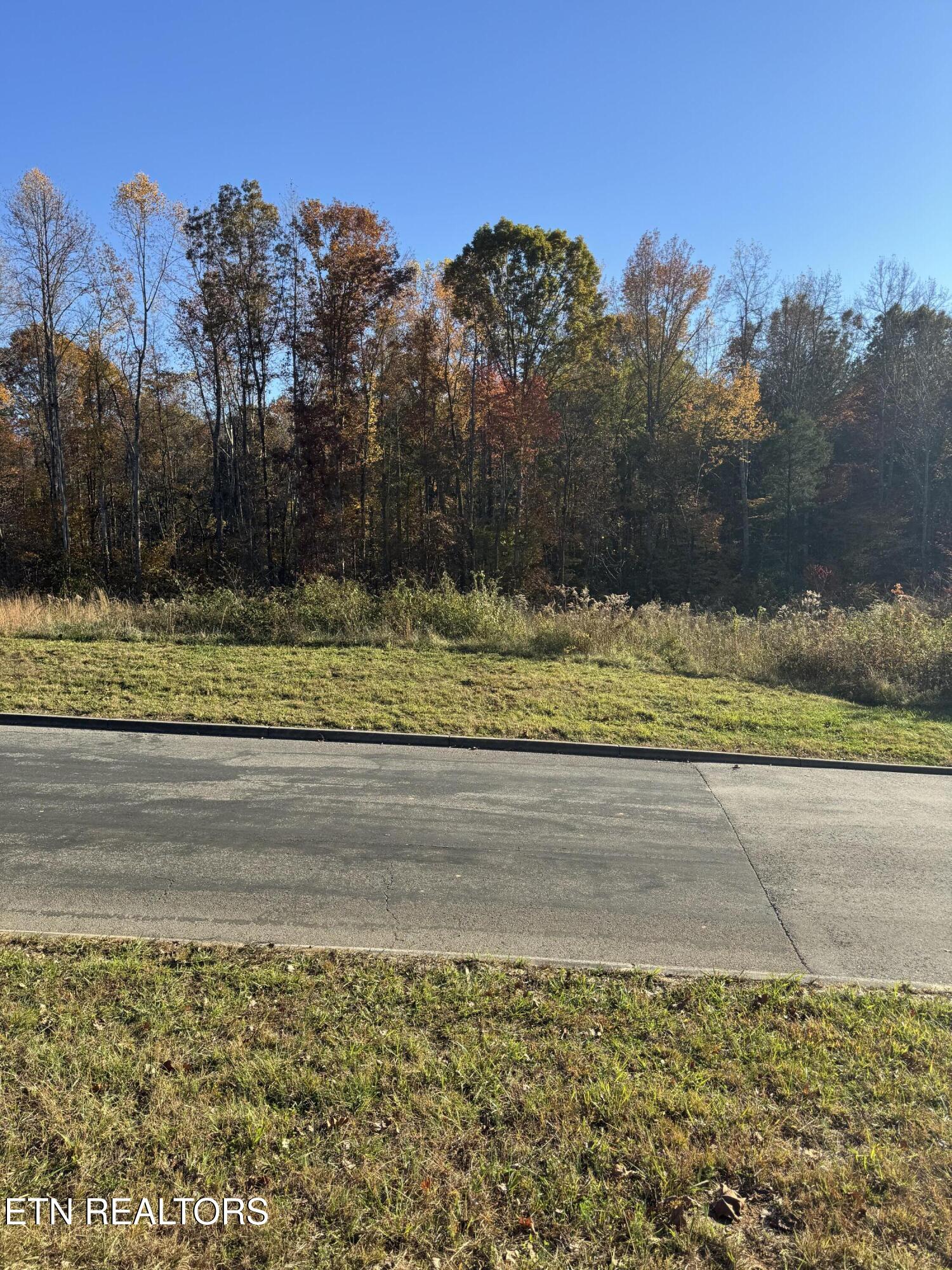 320 Shadows Lawn Drive Athens TN 37303
