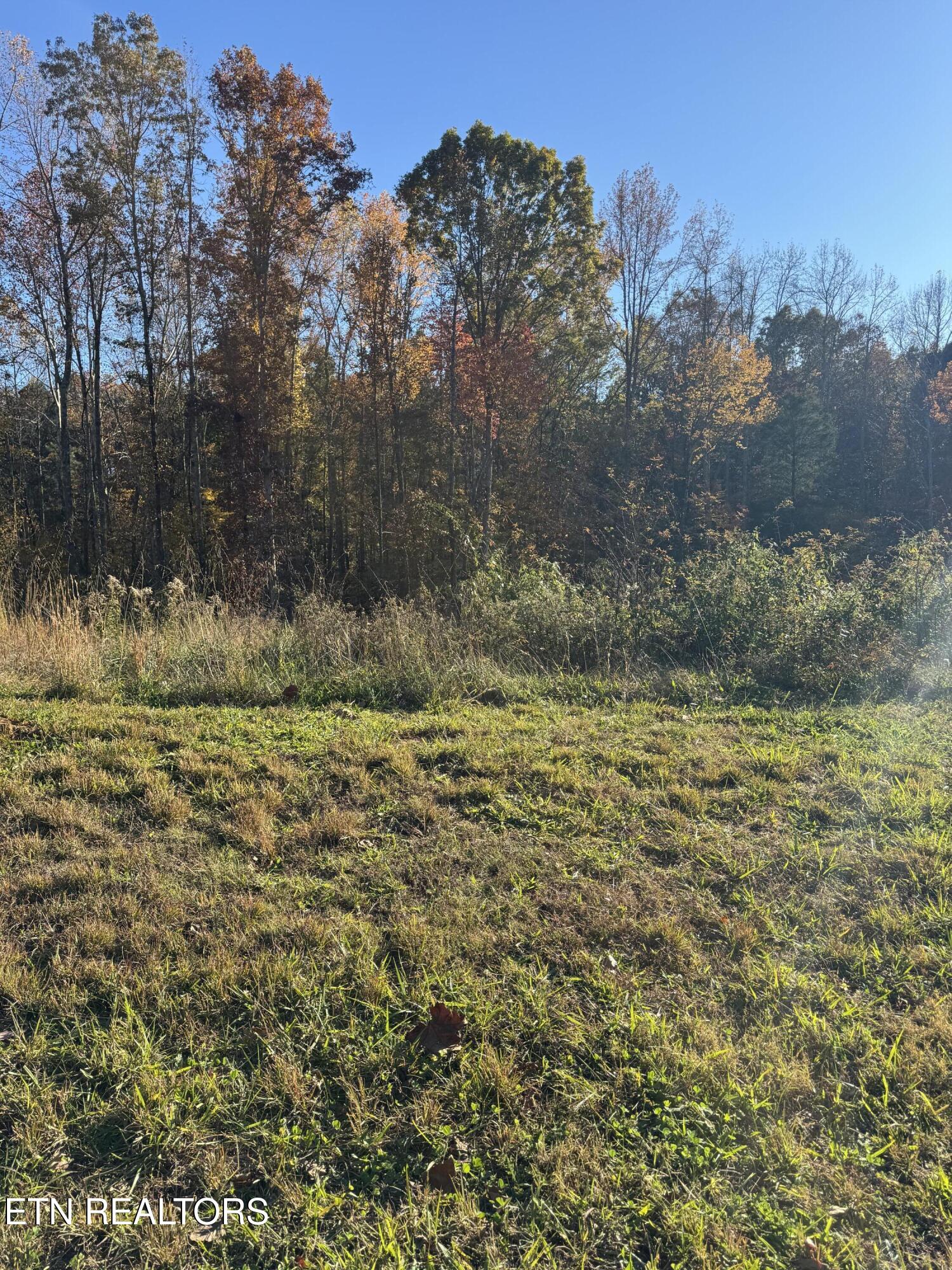 320 Shadows Lawn Drive Athens TN 37303