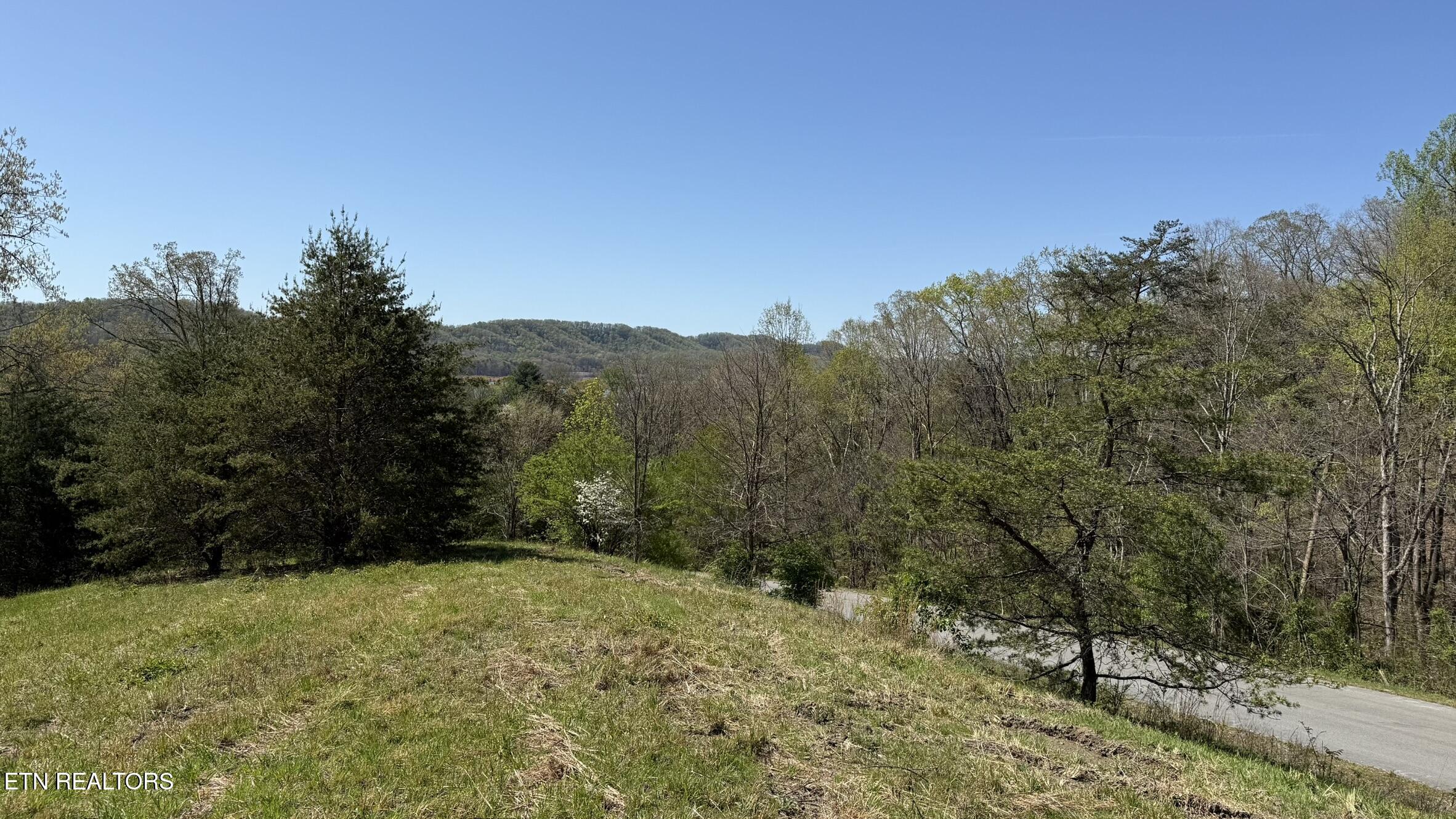 Lot 52 Bayside Boulevard Bean Station TN 37708