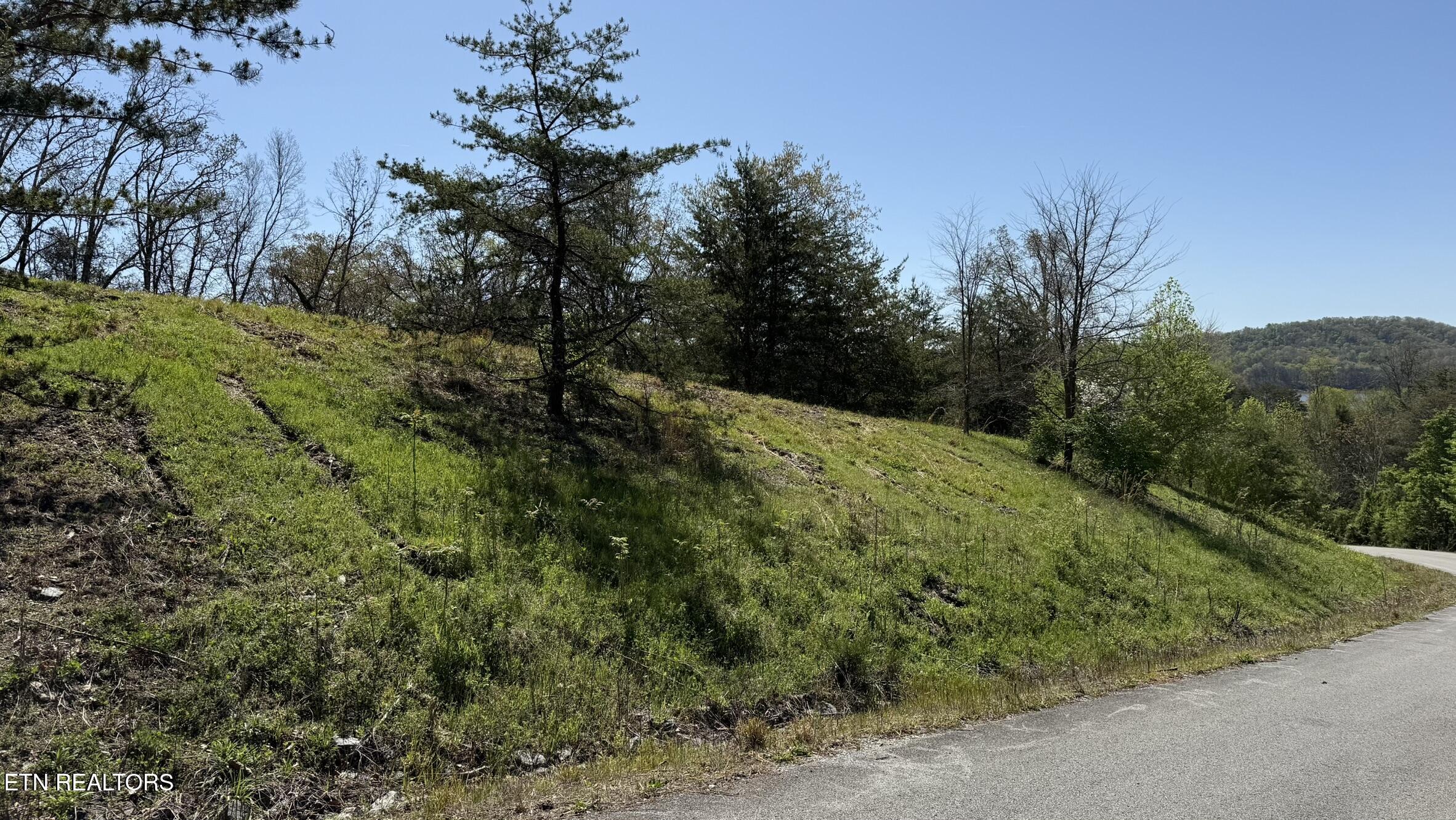 Lot 52 Bayside Boulevard Bean Station TN 37708