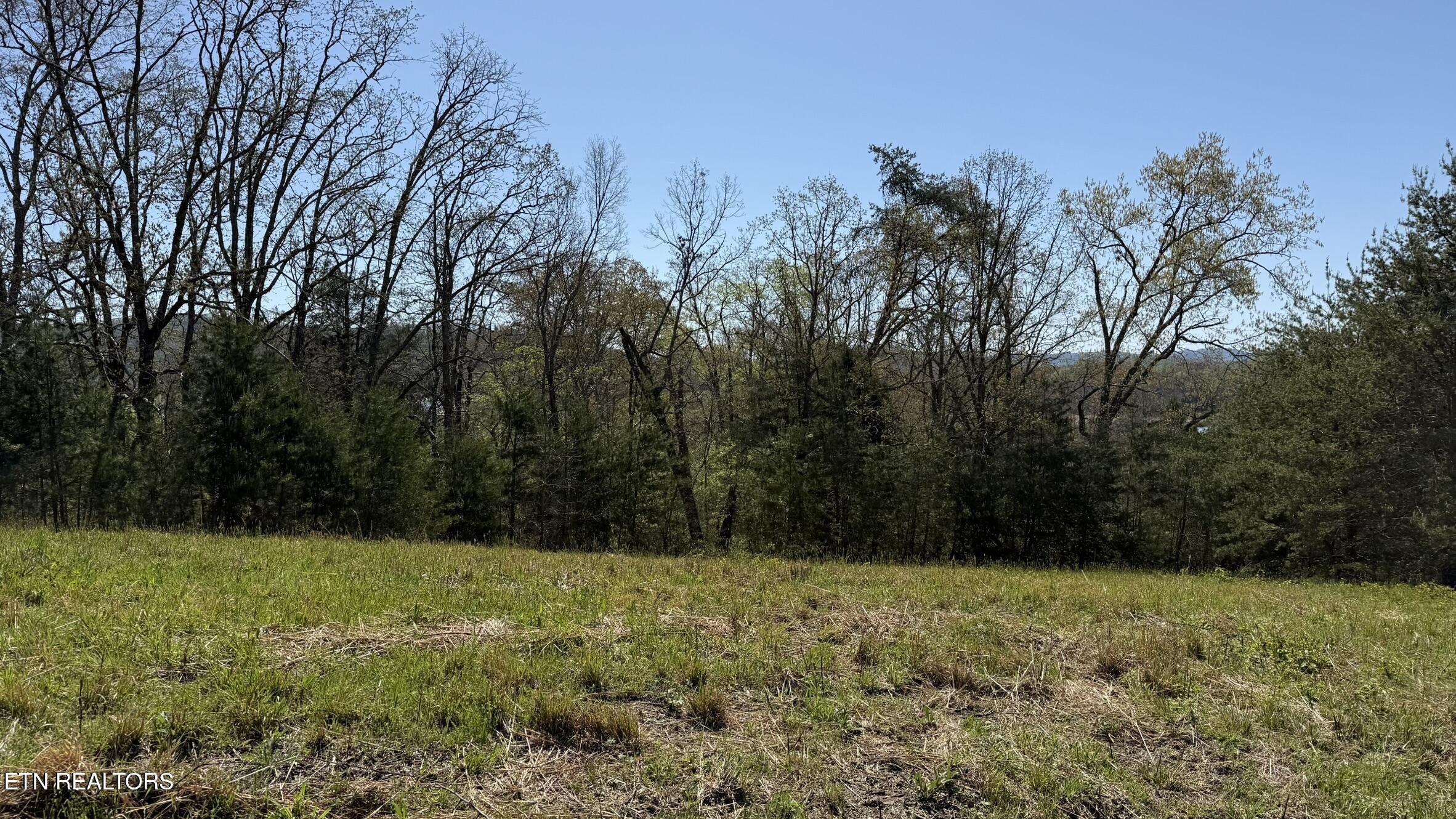 Lot 52 Bayside Boulevard Bean Station TN 37708