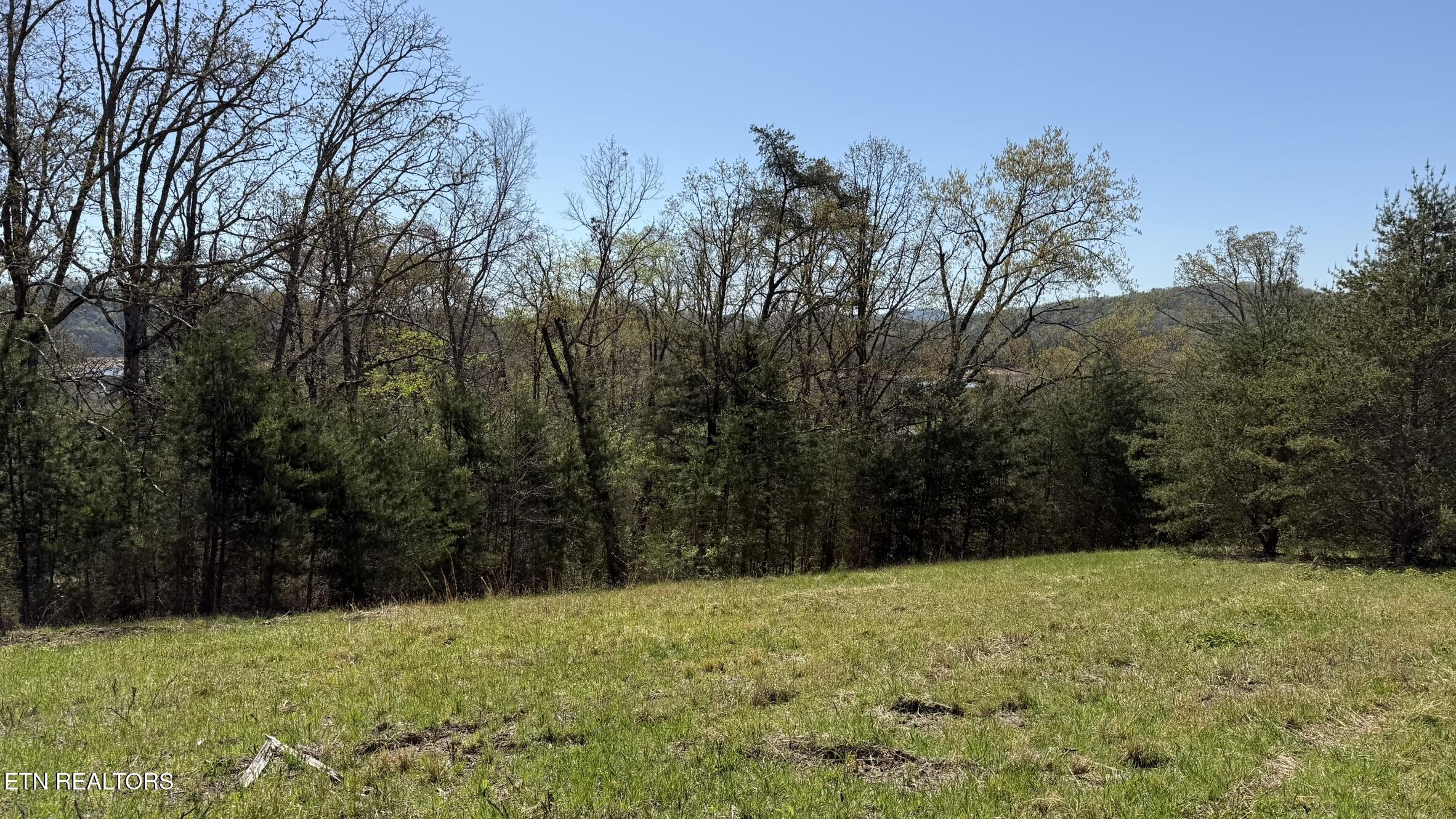 Lot 52 Bayside Boulevard Bean Station TN 37708