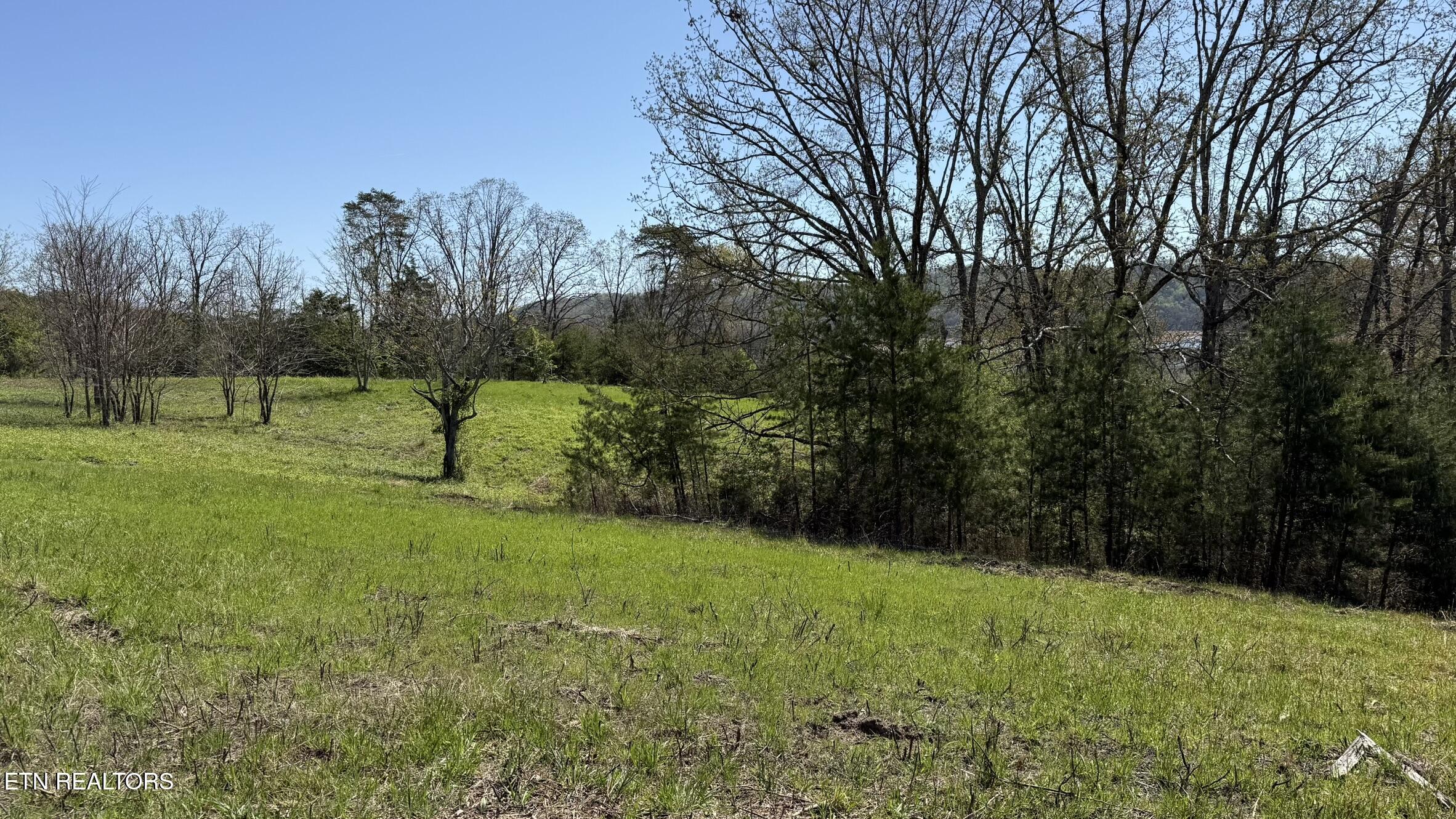 Lot 52 Bayside Boulevard Bean Station TN 37708
