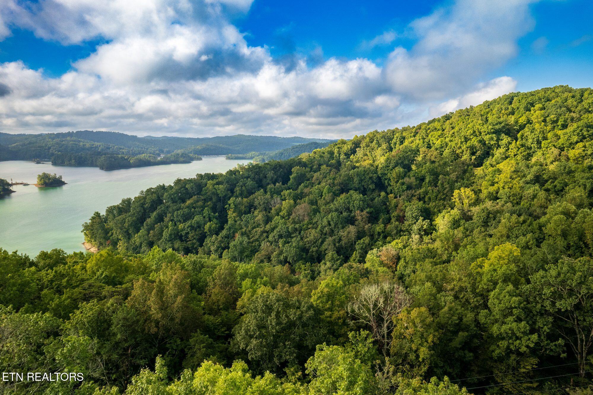 Lakeview Drive Sharps Chapel TN 37866