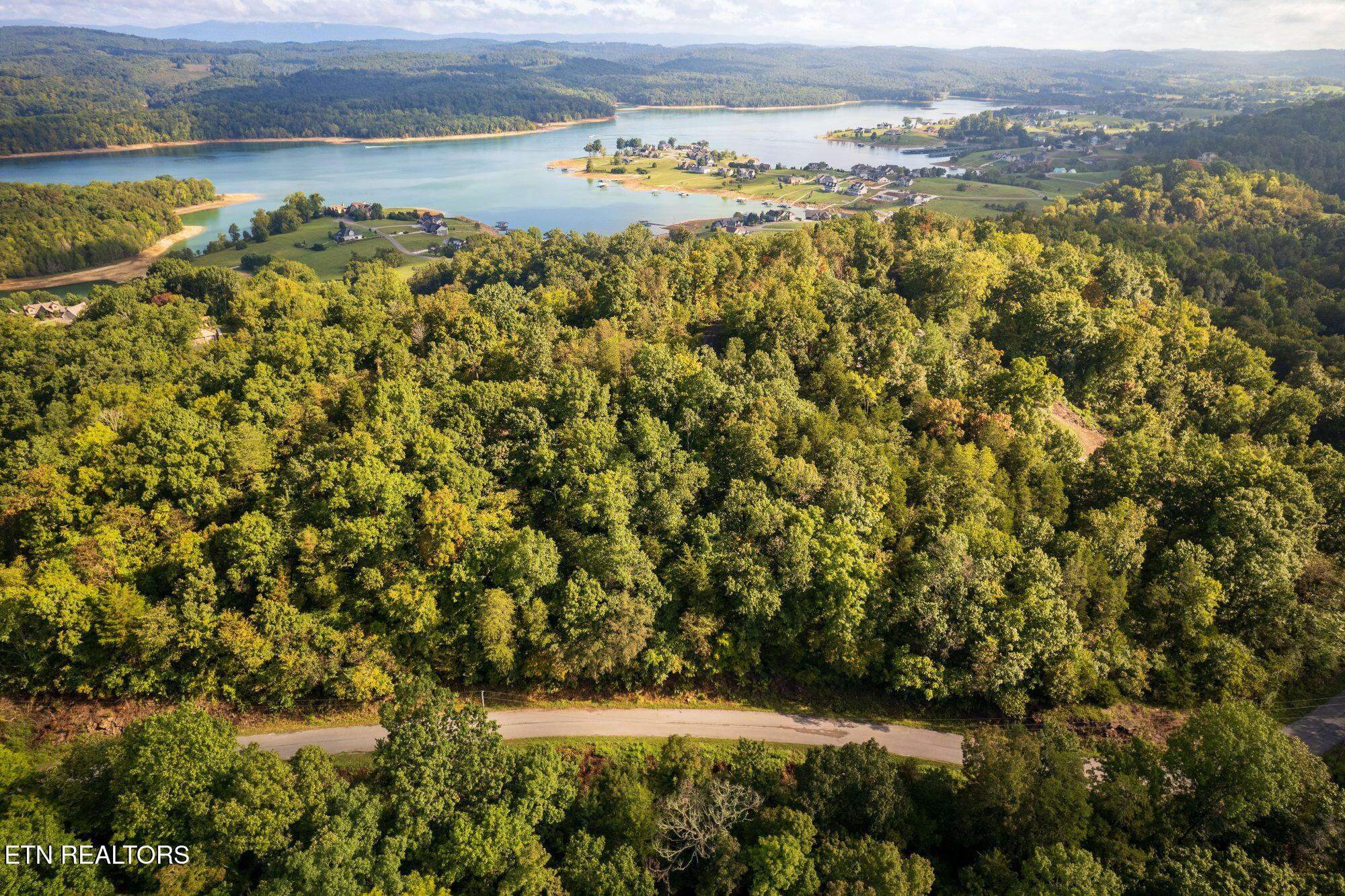 Lakeview Drive Sharps Chapel TN 37866