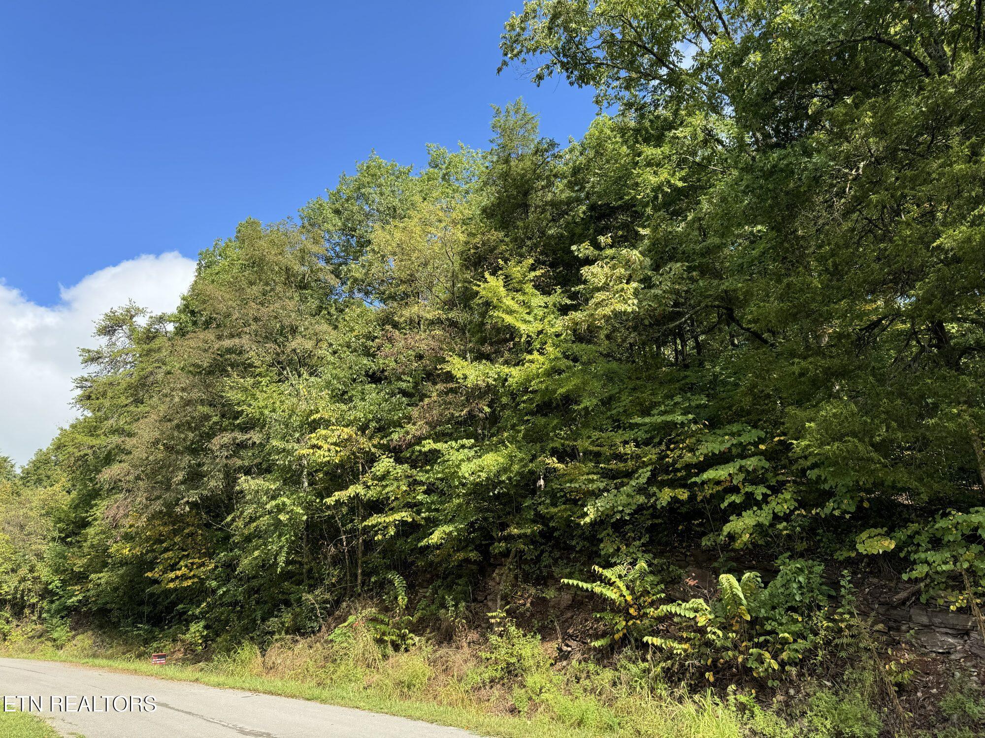 Lakeview Drive Sharps Chapel TN 37866