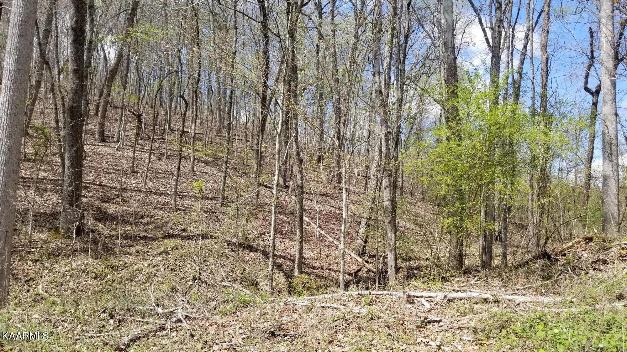 Lot 286 Maple Drive Spring City TN 37381