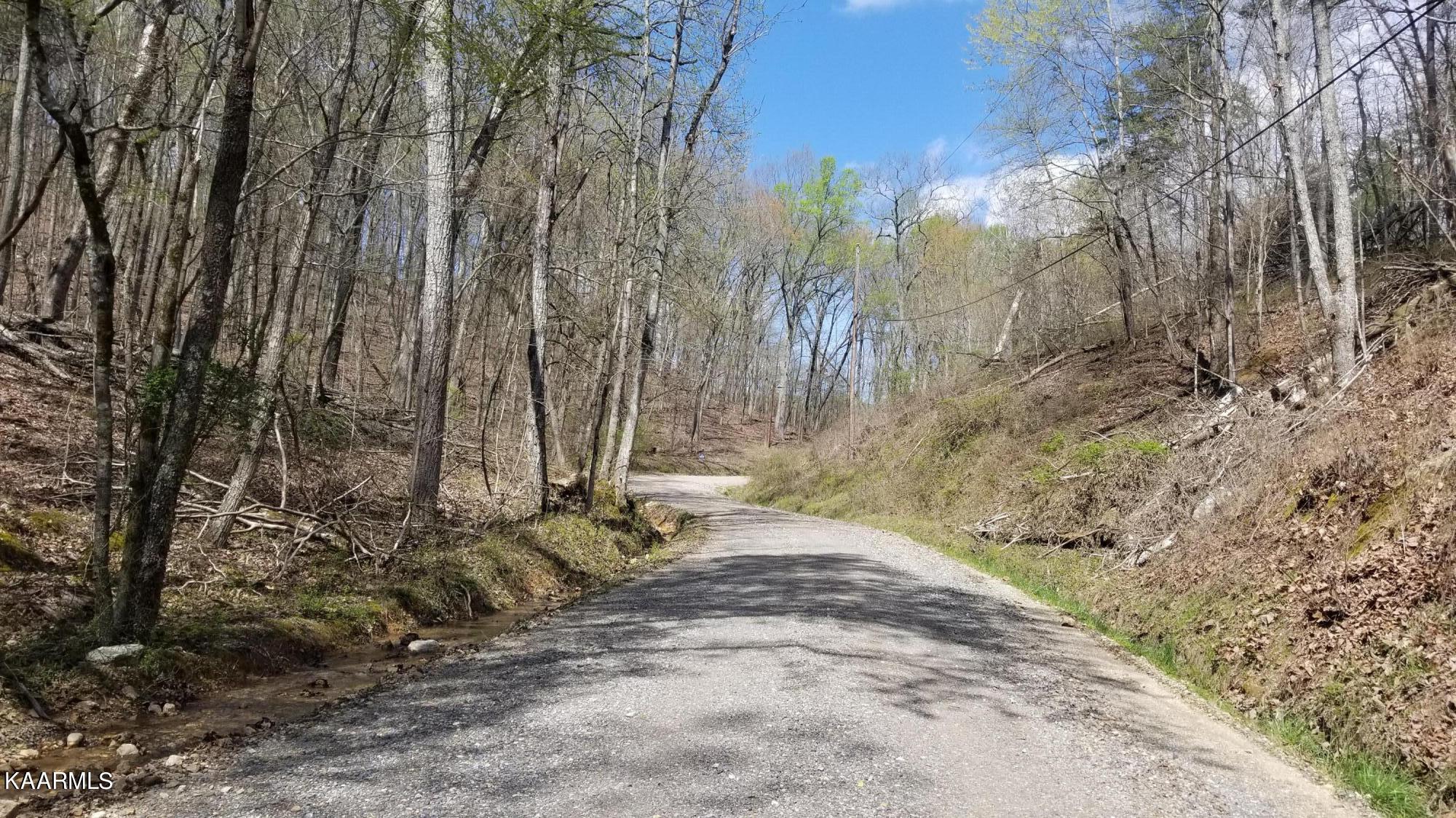 Lot 286 Maple Drive Spring City TN 37381