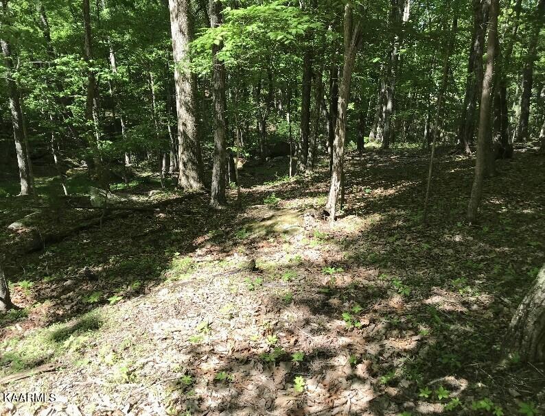 148 Springdale Drive Fairfield Glade TN 38558