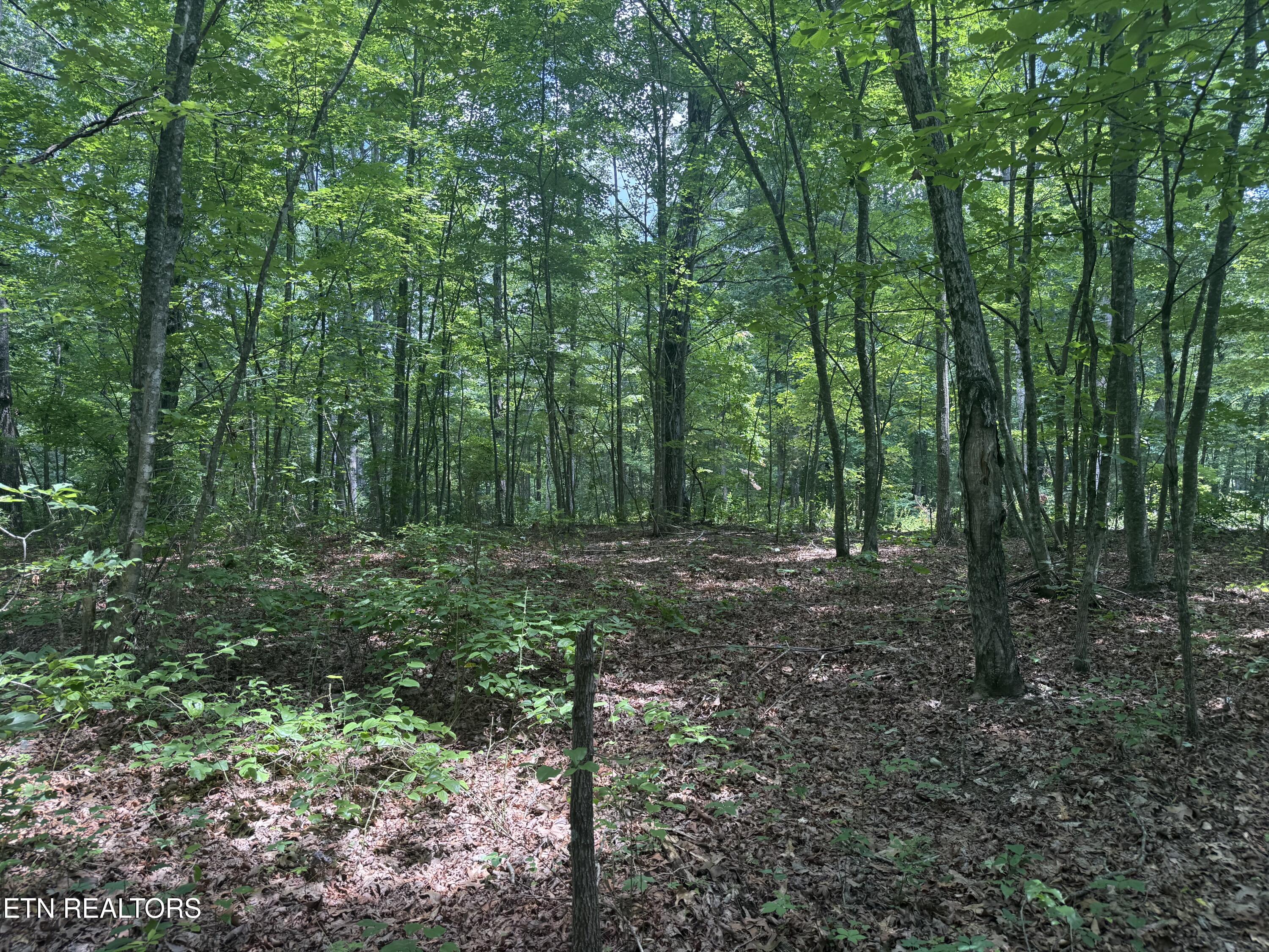 0 Wilder Highway Wilder TN 38589