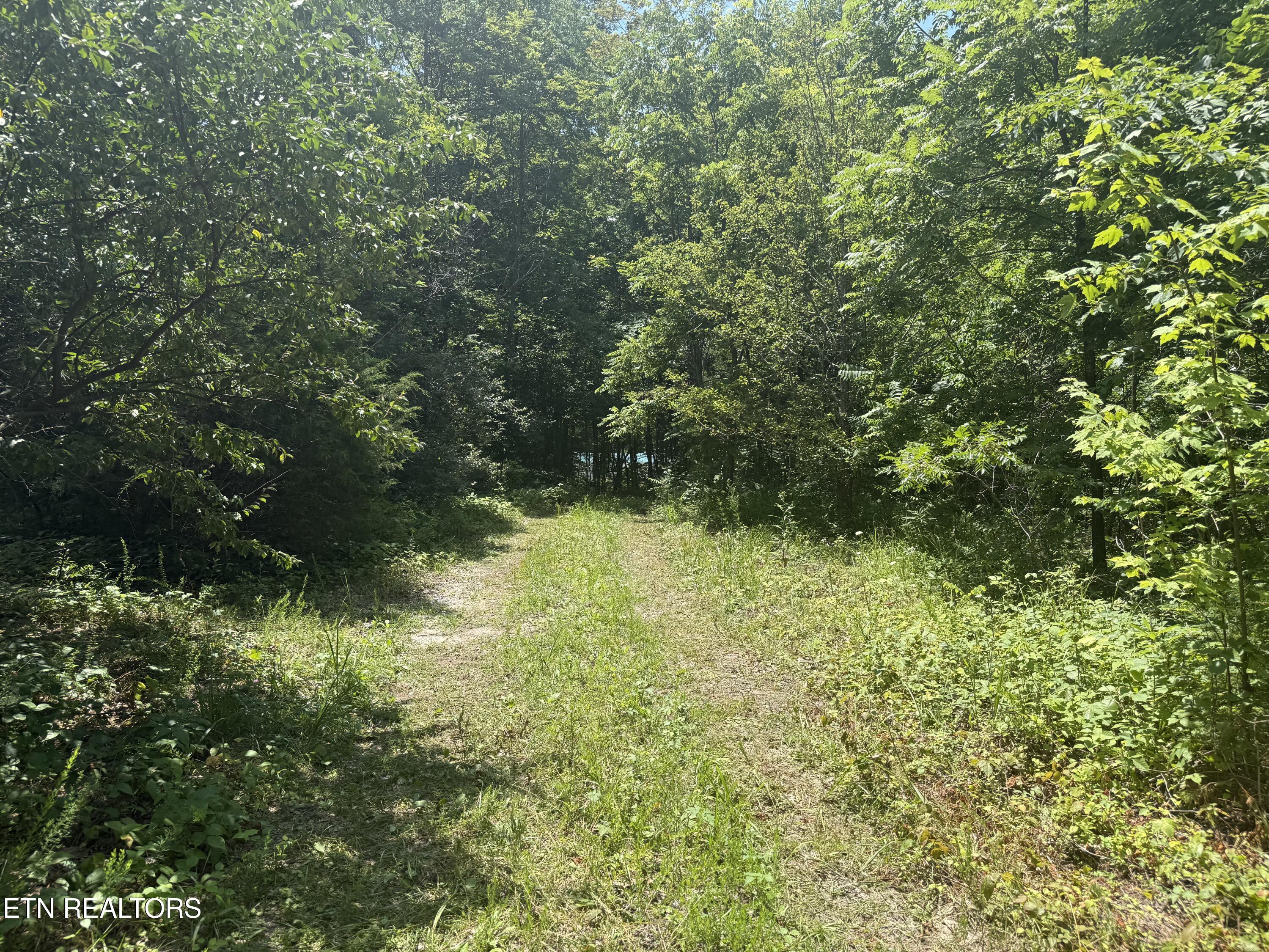 0 Wilder Highway Wilder TN 38589