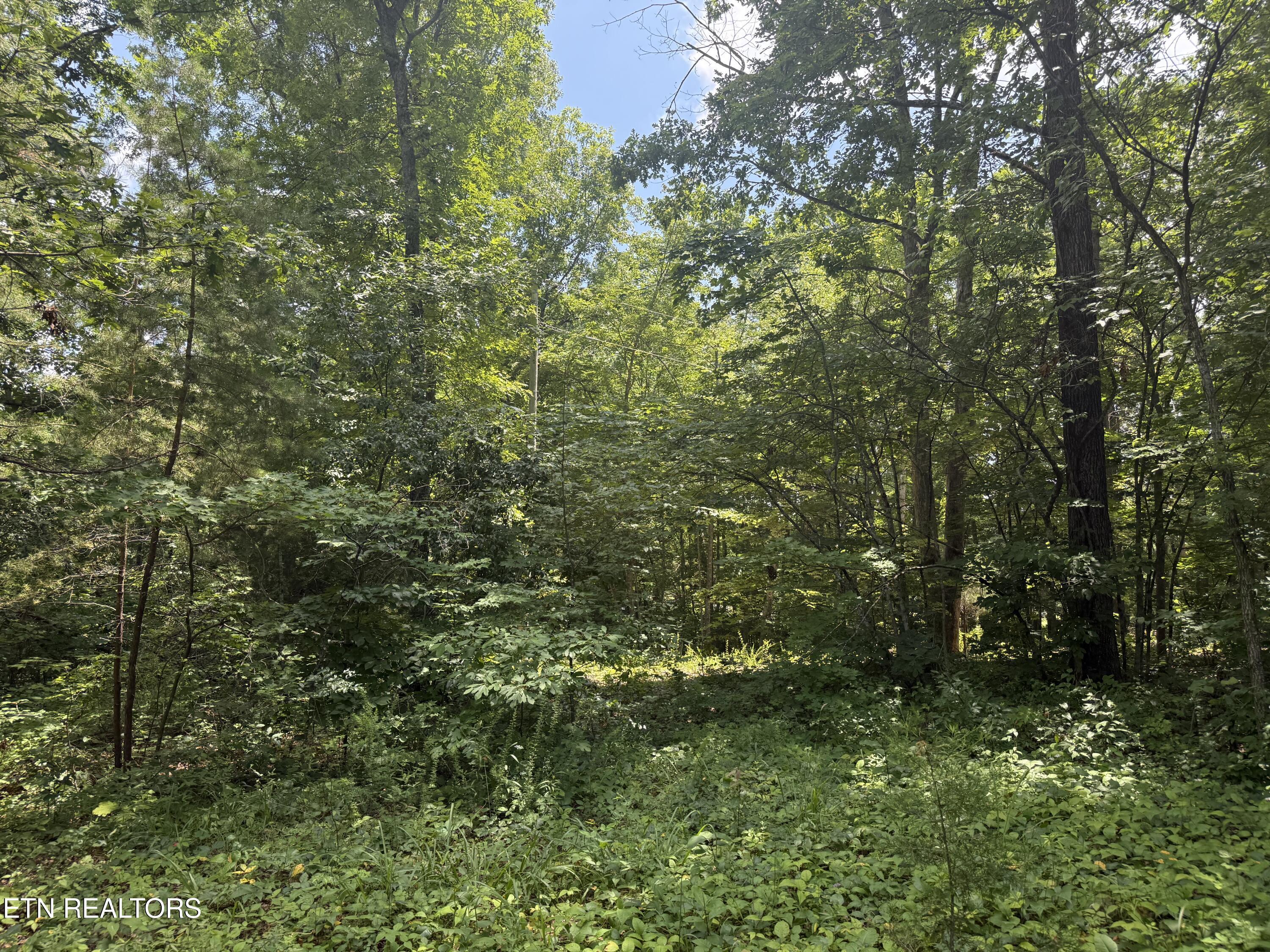 0 Wilder Highway Wilder TN 38589