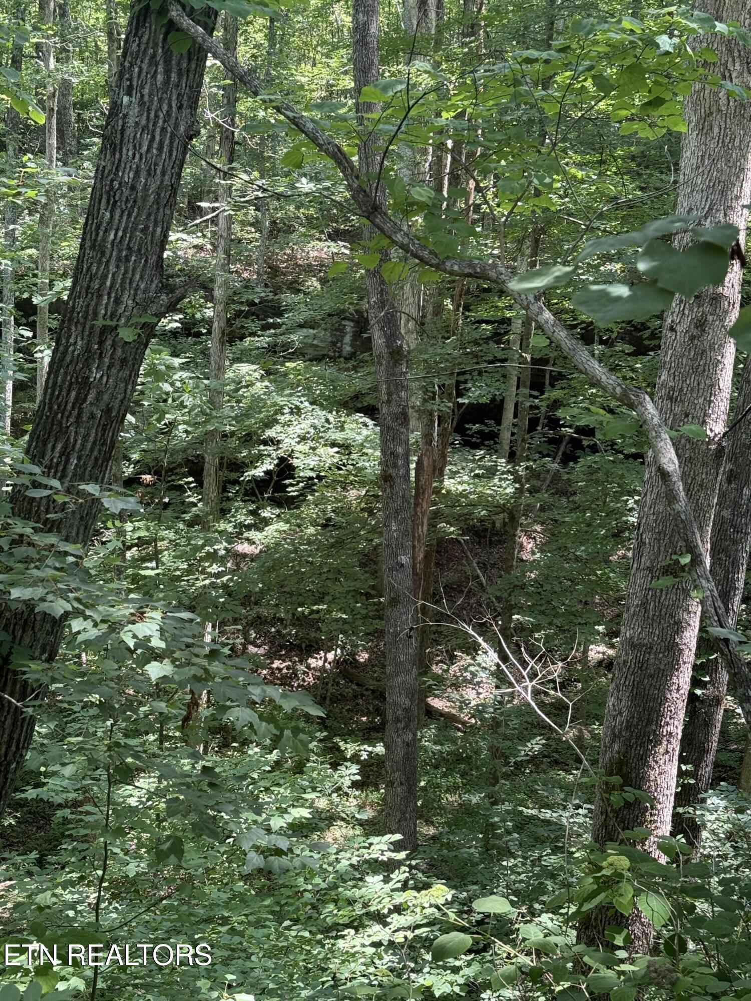 0 Wilder Highway Wilder TN 38589