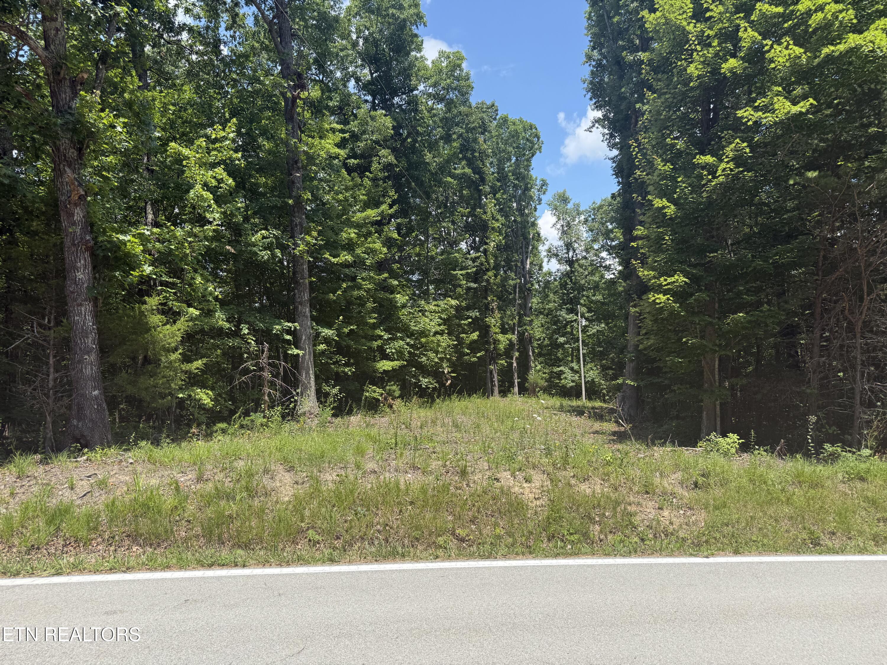 0 Wilder Highway Wilder TN 38589