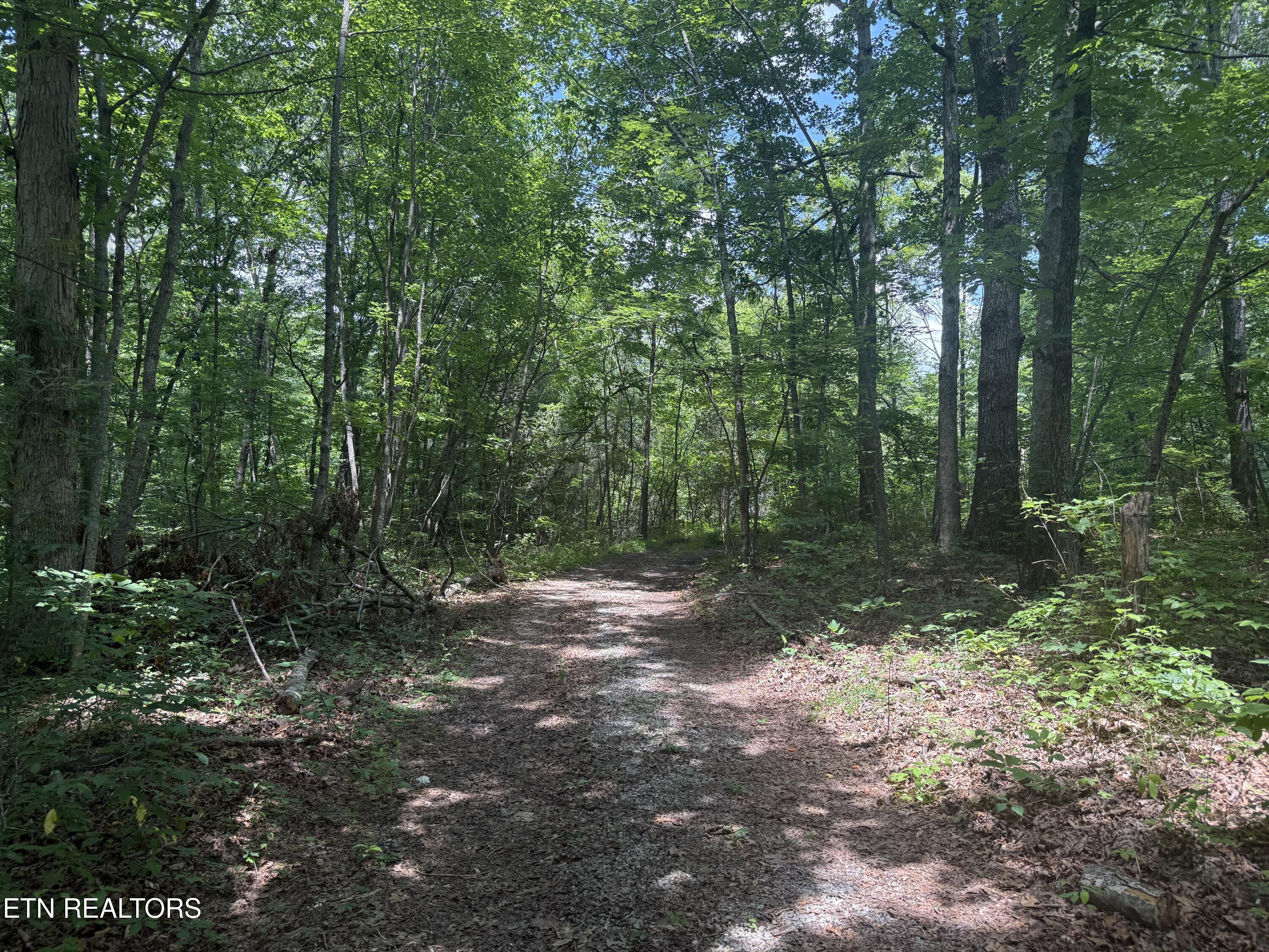 0 Wilder Highway Wilder TN 38589