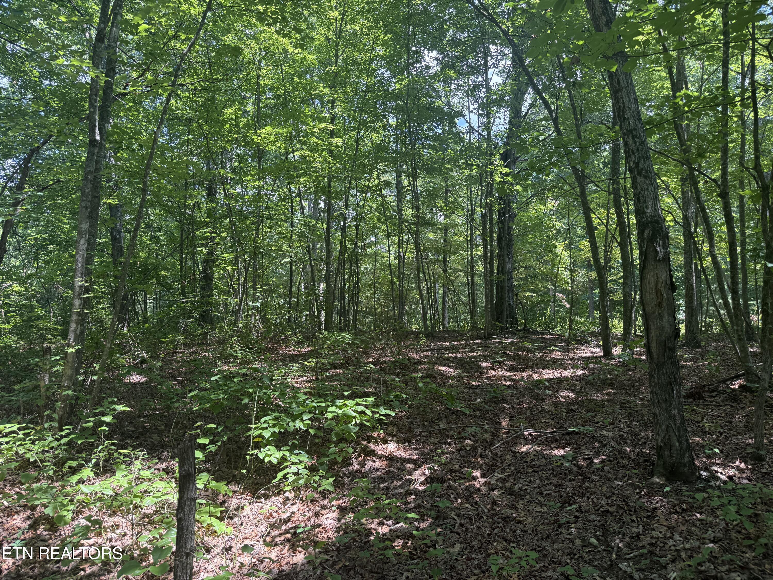 0 Wilder Highway Wilder TN 38589