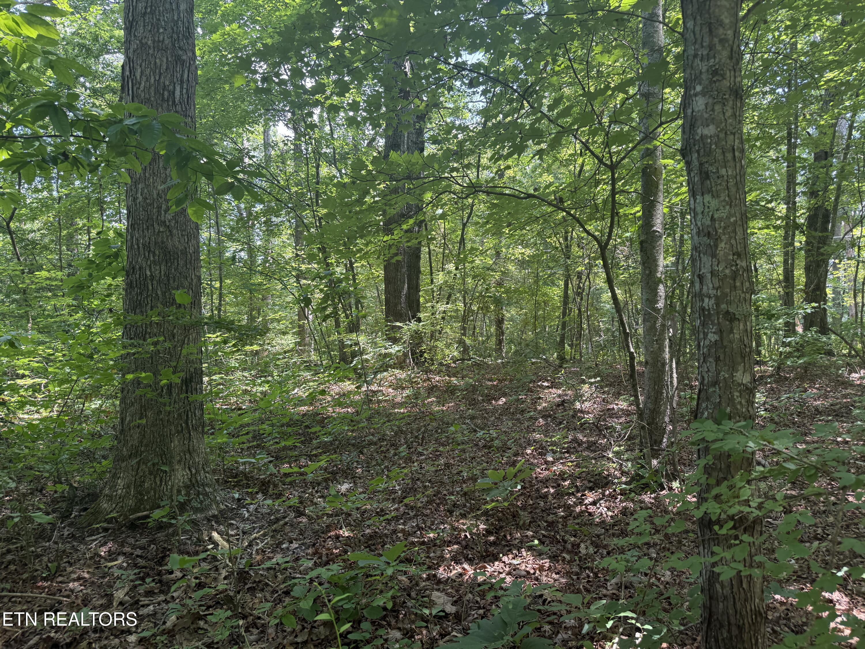 0 Wilder Highway Wilder TN 38589