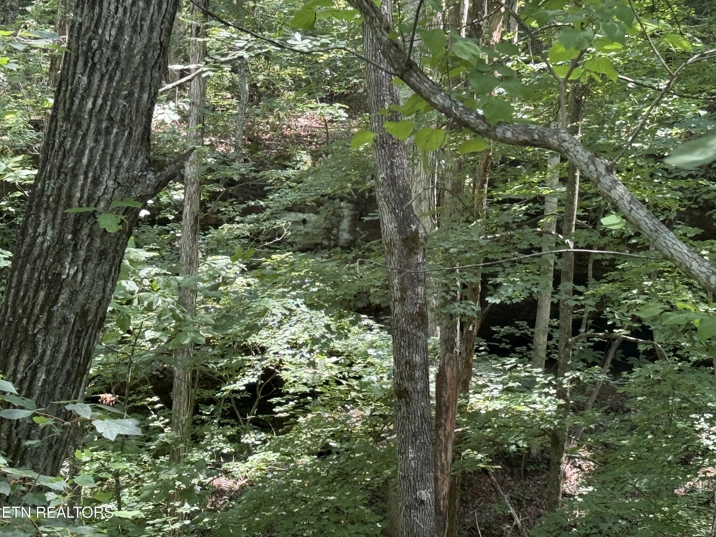 0 Wilder Highway Wilder TN 38589