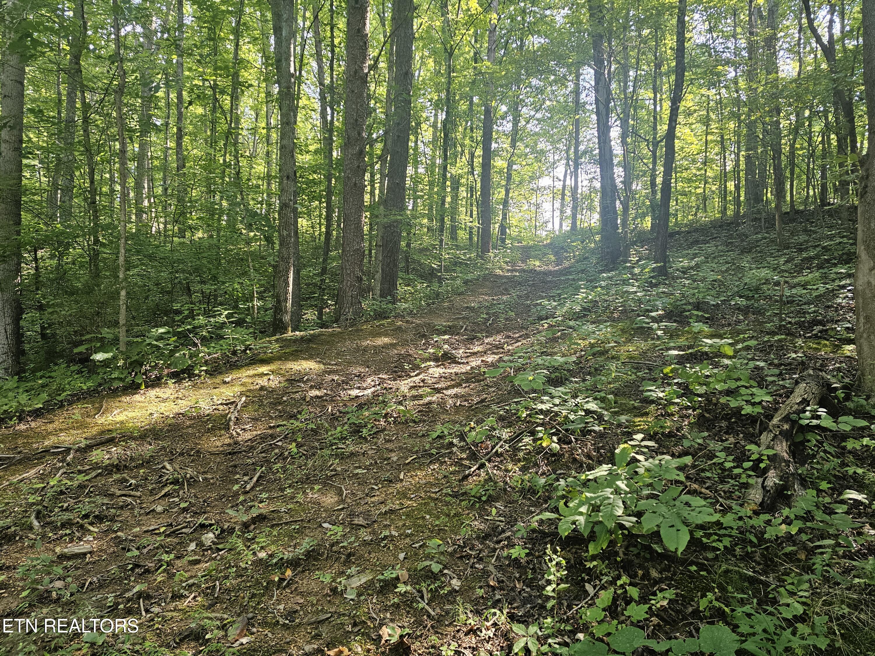 Lot 2 Franklin Way Sevierville TN 37876