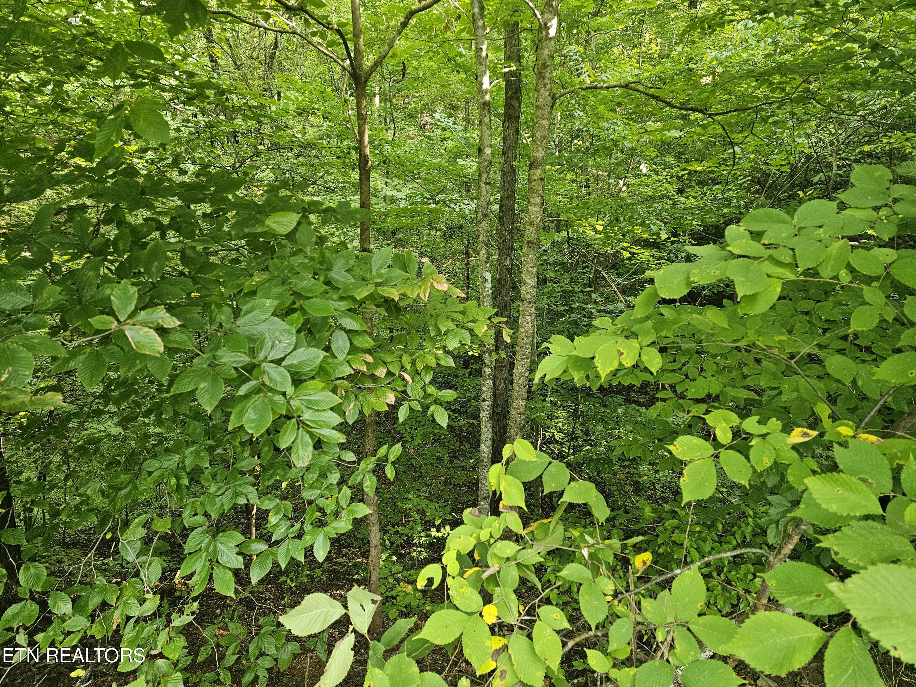 Lot 2 Franklin Way Sevierville TN 37876