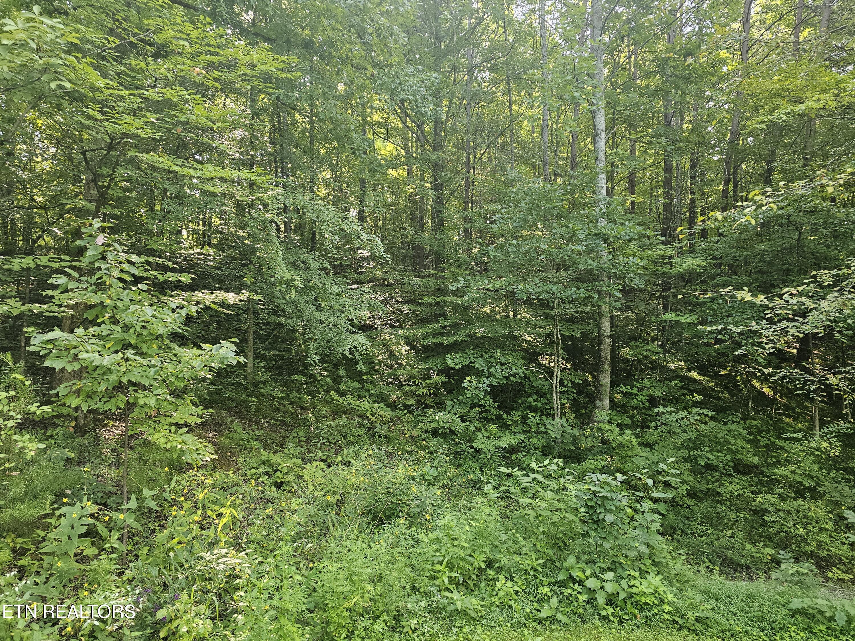 Lot 2 Franklin Way Sevierville TN 37876