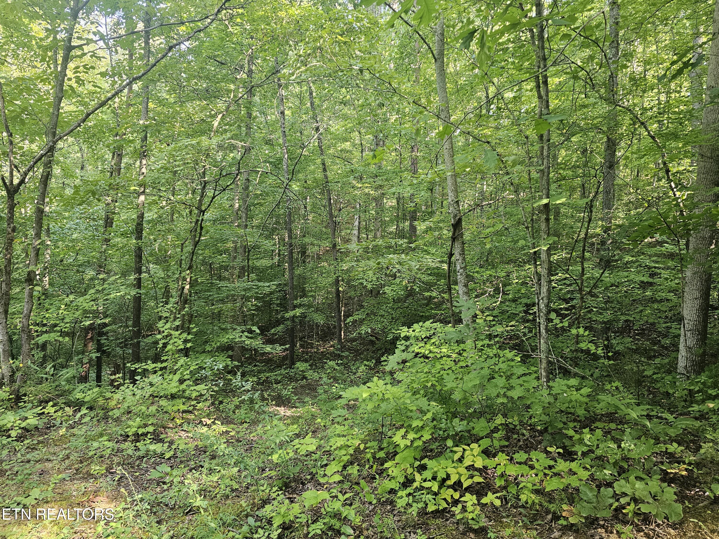 Lot 2 Franklin Way Sevierville TN 37876