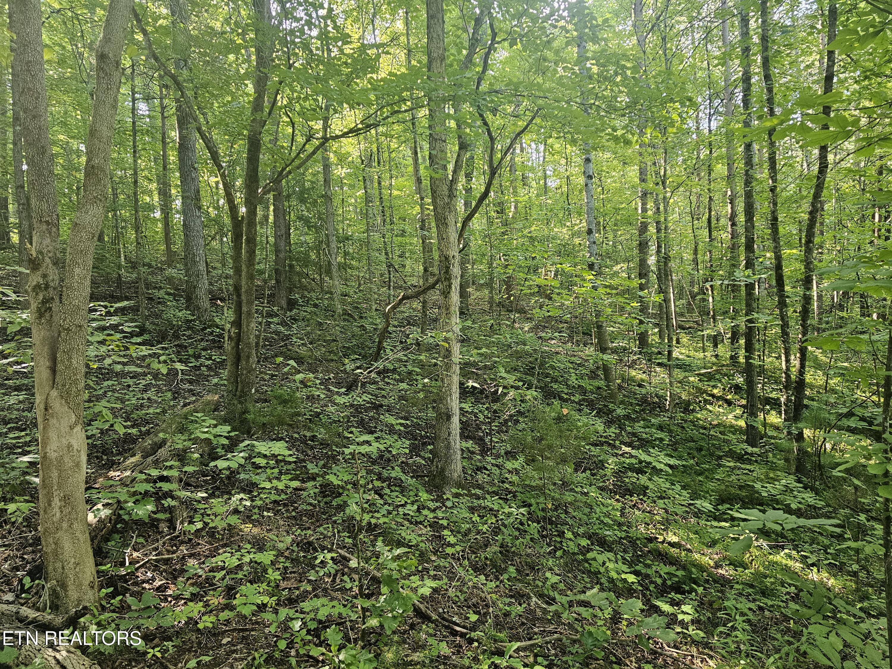 Lot 2 Franklin Way Sevierville TN 37876