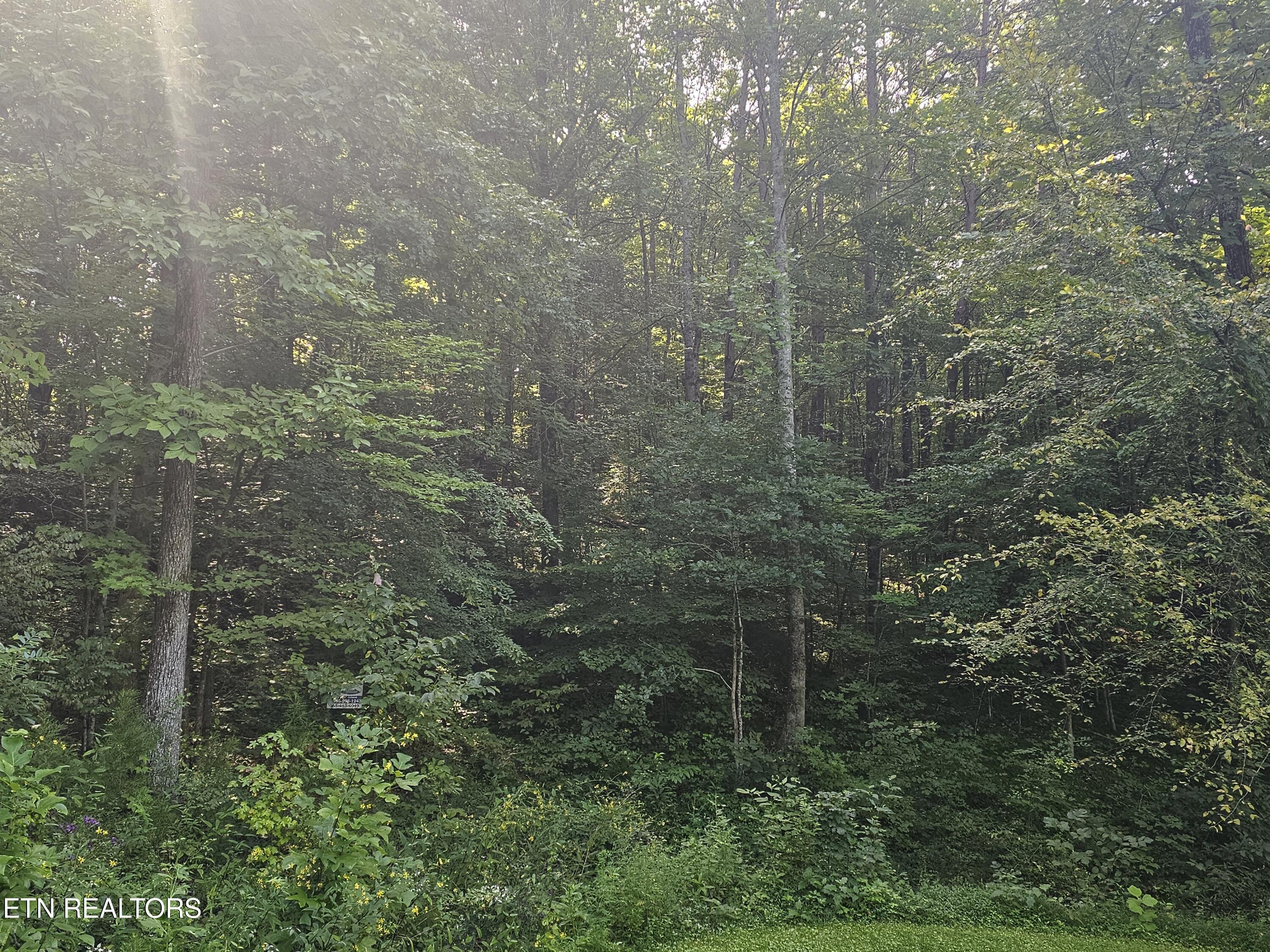 Lot 2 Franklin Way Sevierville TN 37876