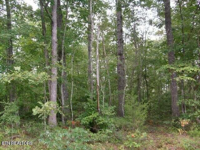 119 Flathead Circle Crossville TN 38572