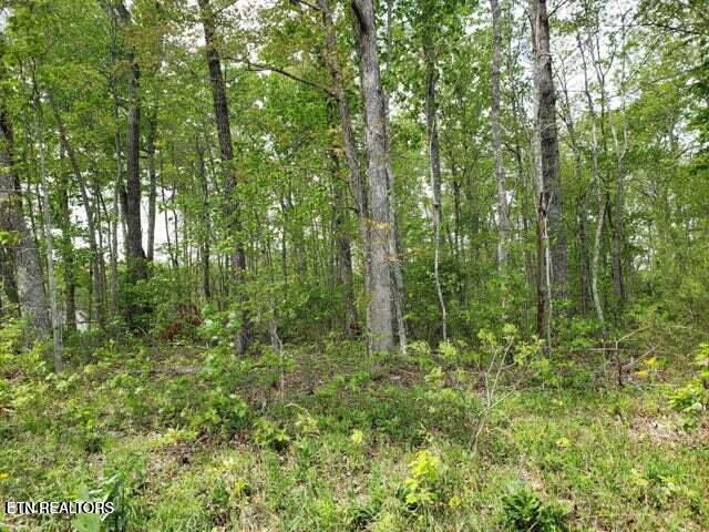119 Flathead Circle Crossville TN 38572