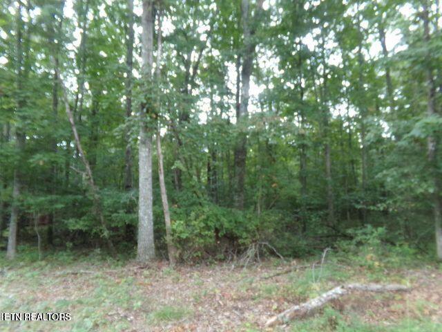 119 Flathead Circle Crossville TN 38572