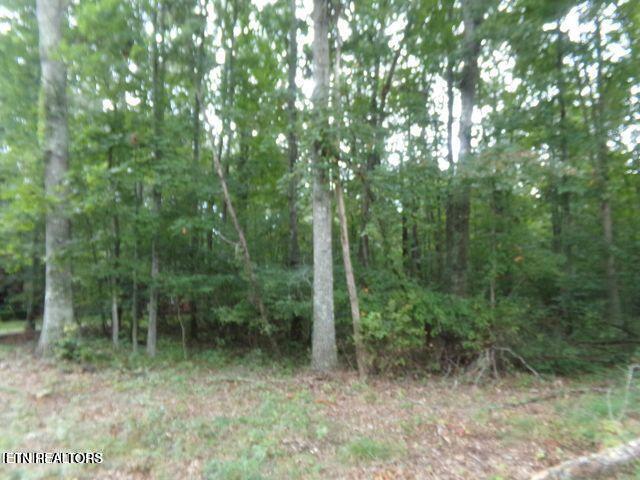 119 Flathead Circle Crossville TN 38572
