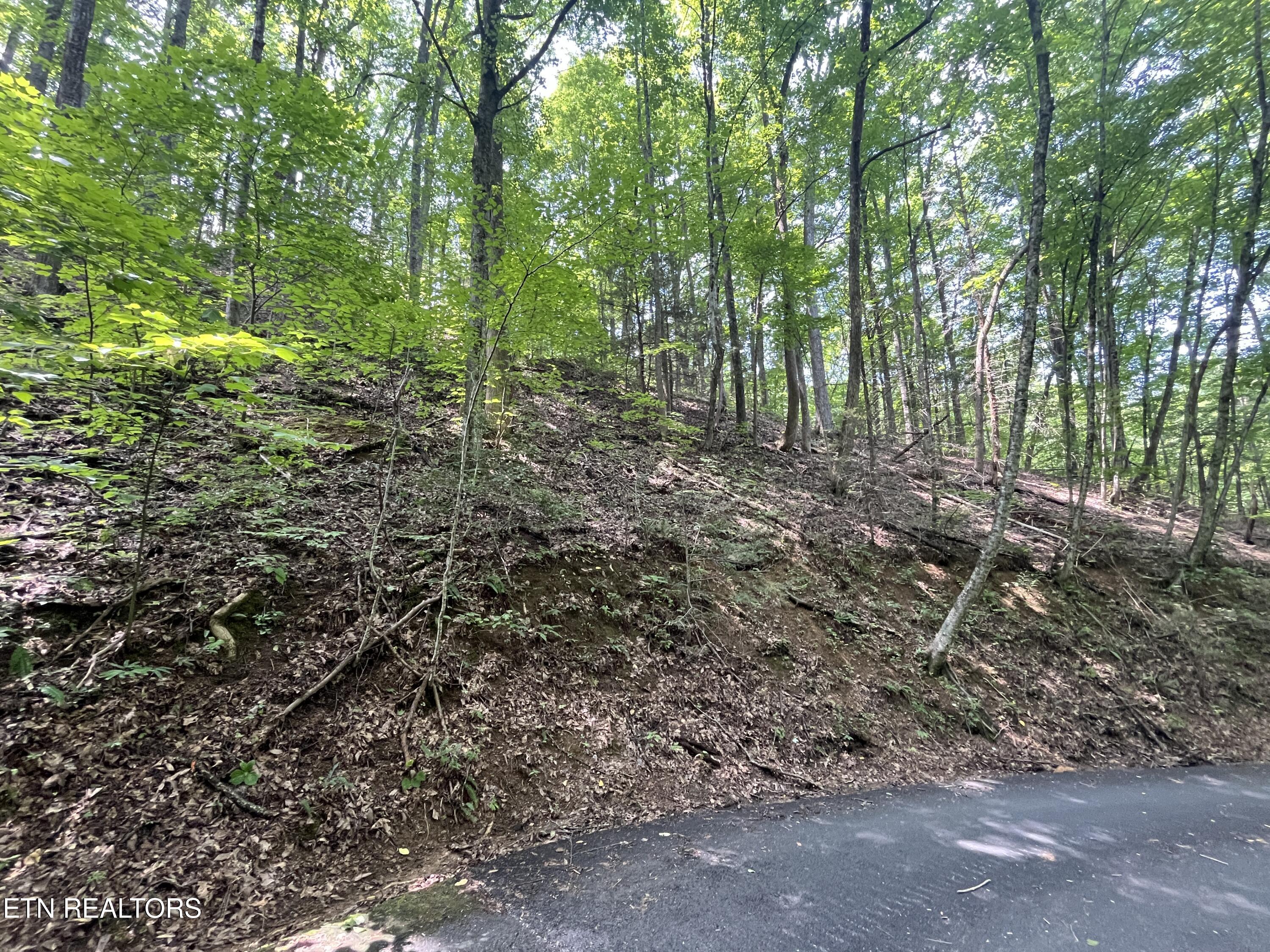 Lot 334 Ridgefield Drive Sevierville TN 37876