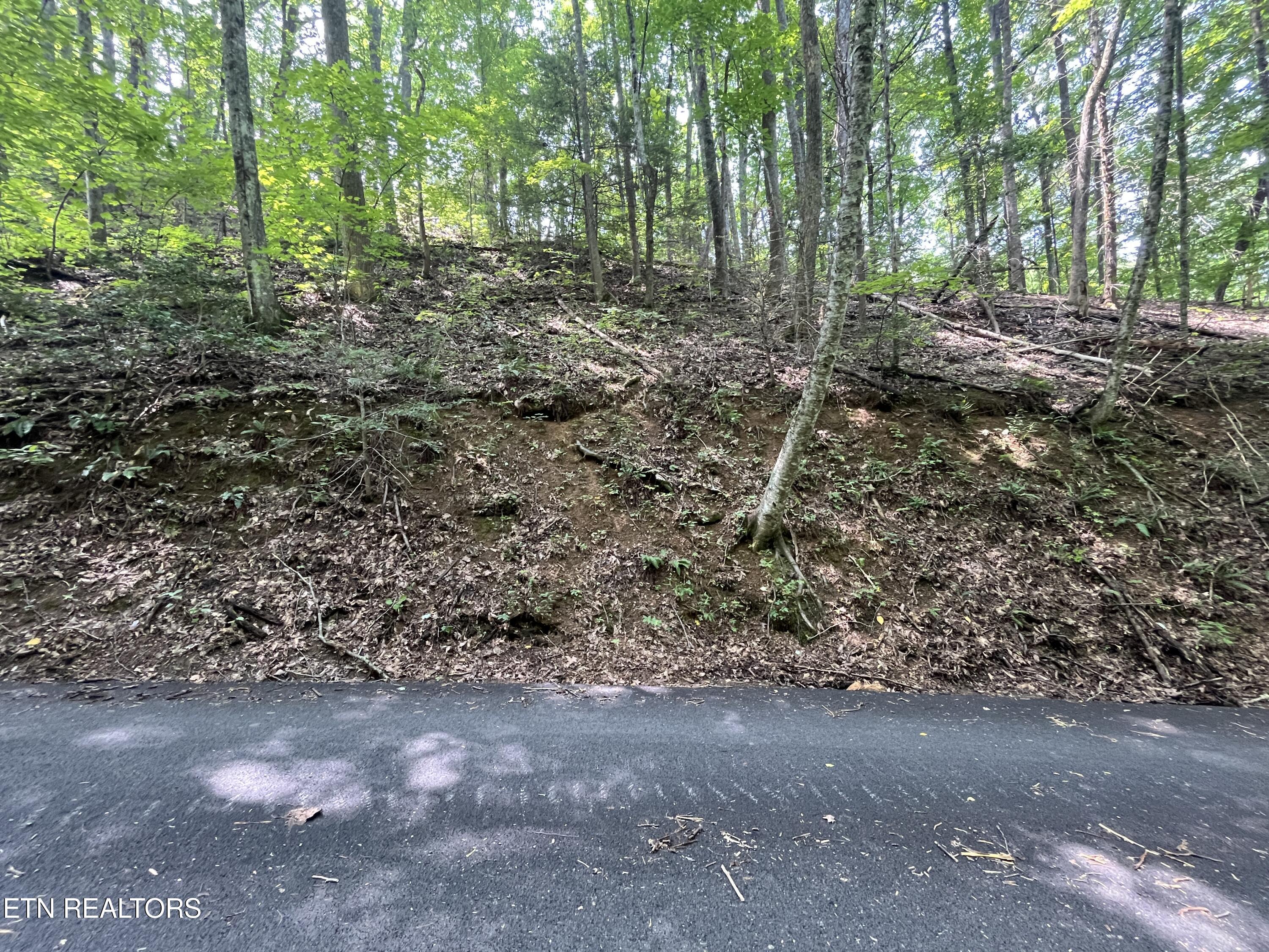 Lot 334 Ridgefield Drive Sevierville TN 37876