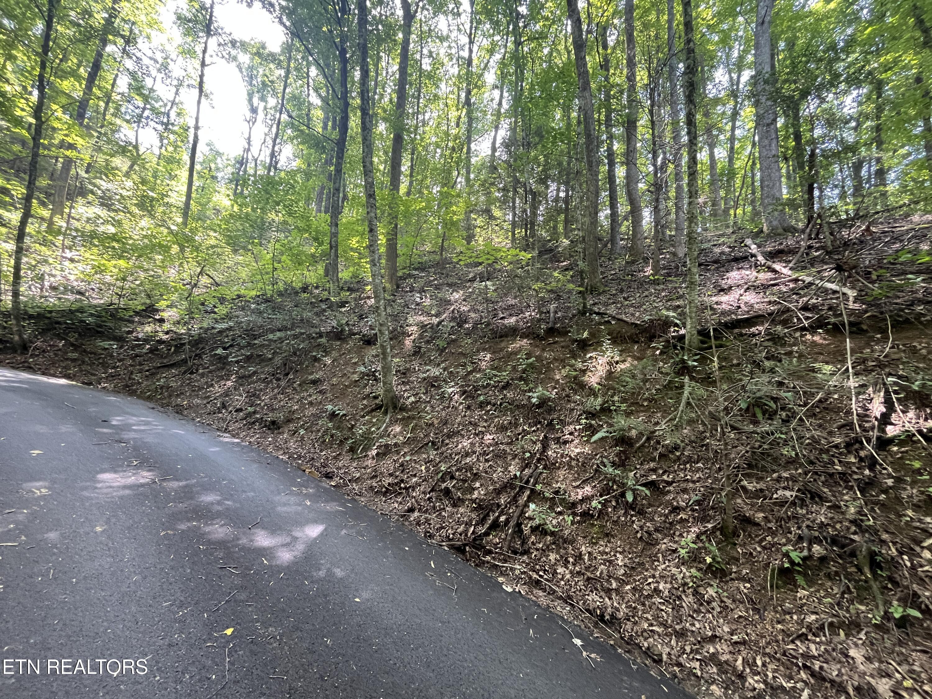 Lot 334 Ridgefield Drive Sevierville TN 37876
