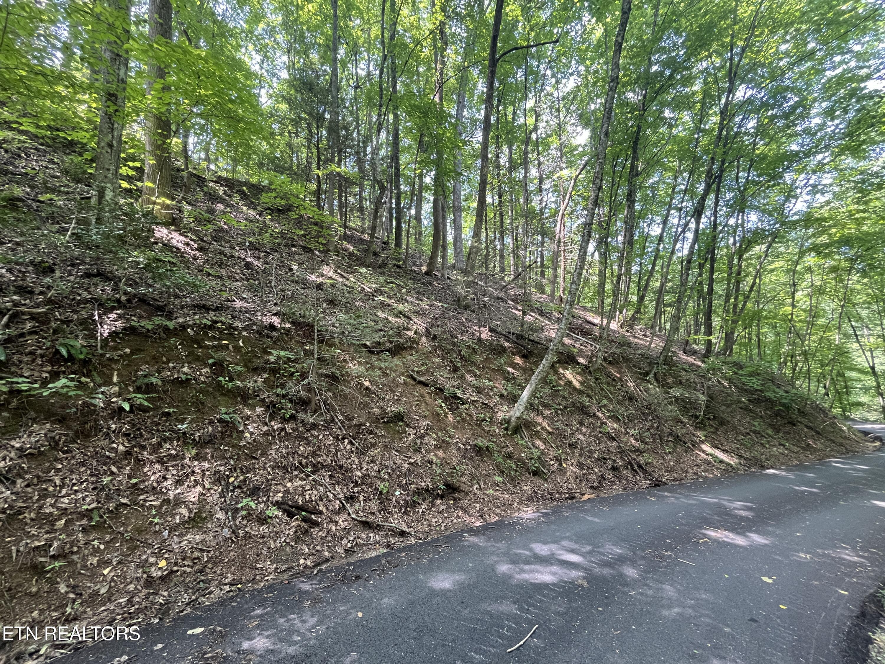 Lot 334 Ridgefield Drive Sevierville TN 37876