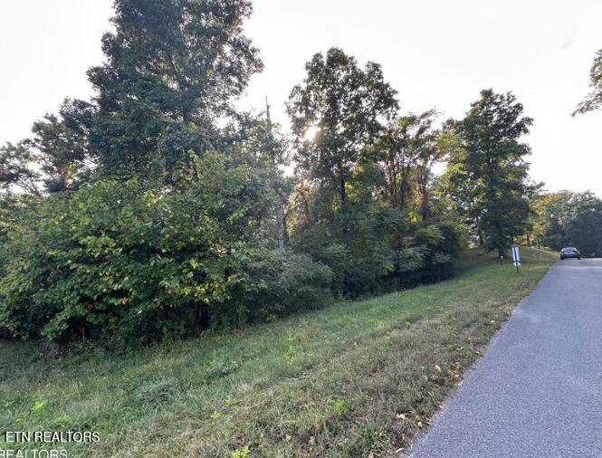 Smokey Quartz Boulevard New Tazewell TN 37825