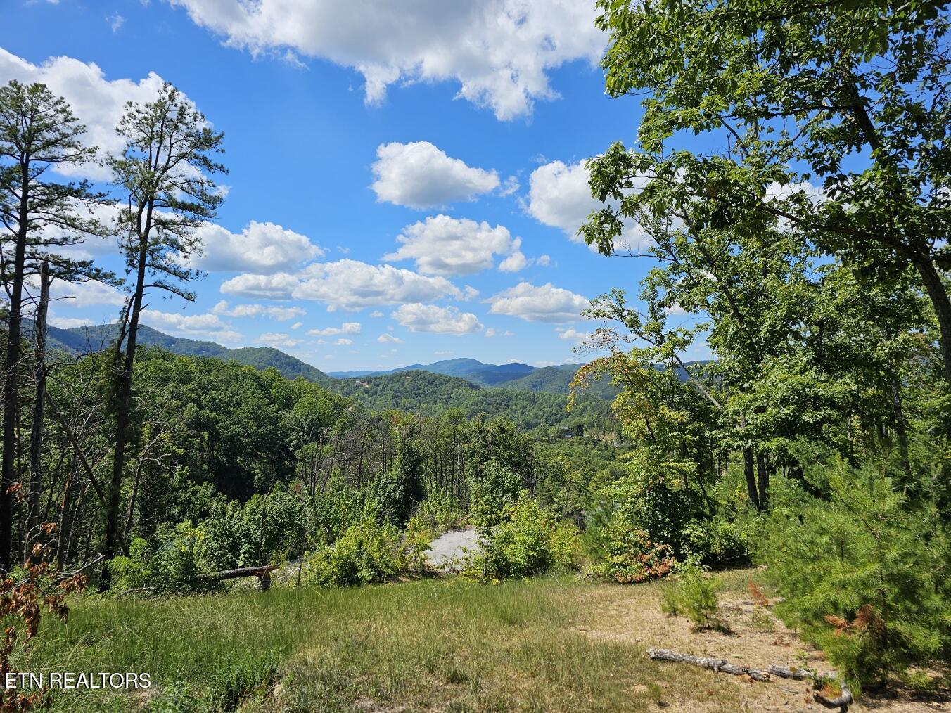 Phase B Crown Circle Sevierville TN 37862
