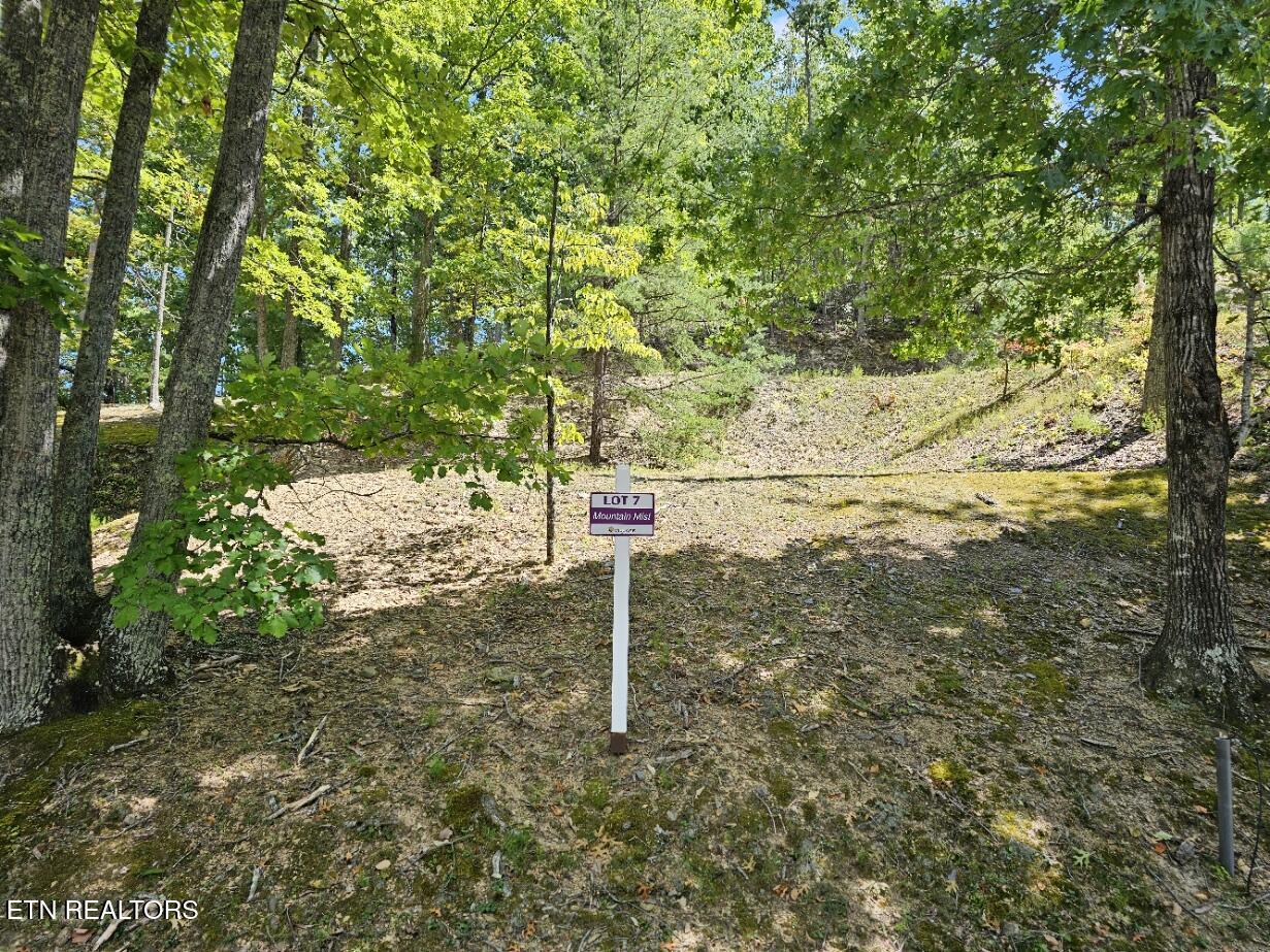 Phase B Crown Circle Sevierville TN 37862