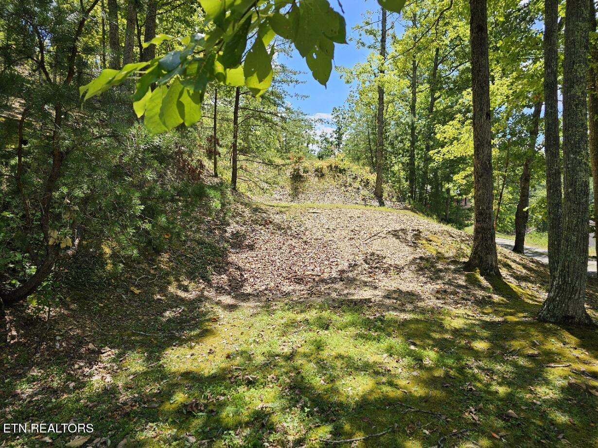 Phase B Crown Circle Sevierville TN 37862