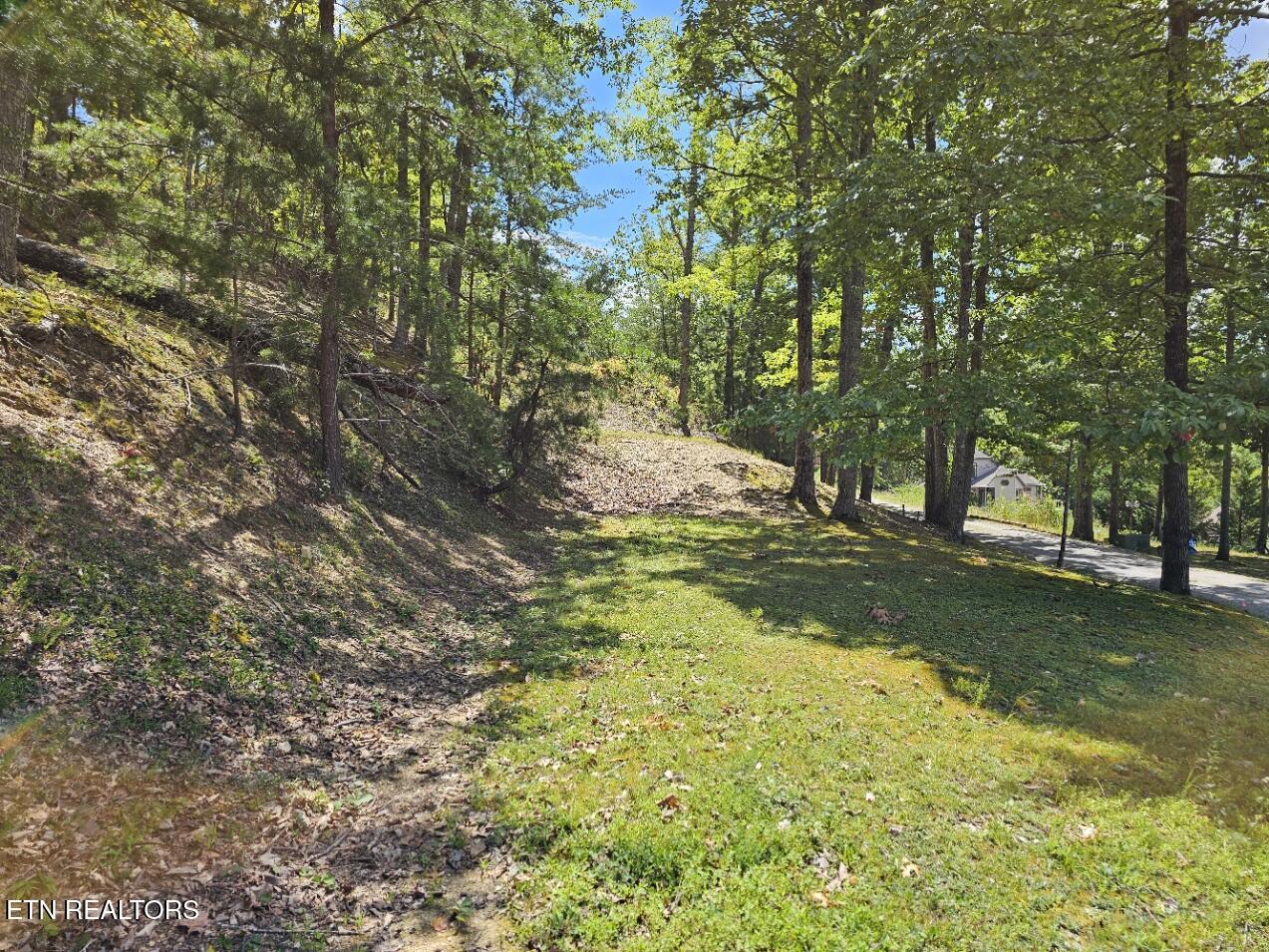 Phase B Crown Circle Sevierville TN 37862